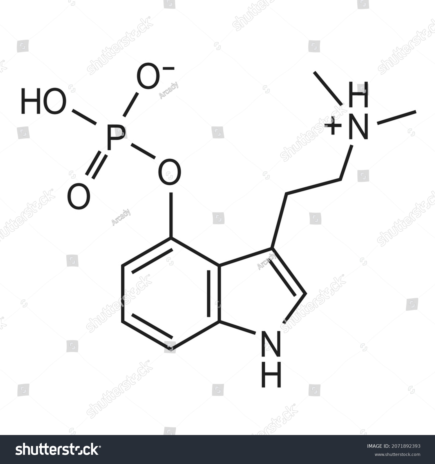 Psilocybin Chemical Formula Vectoral Structure Molecule Stock Vector ...