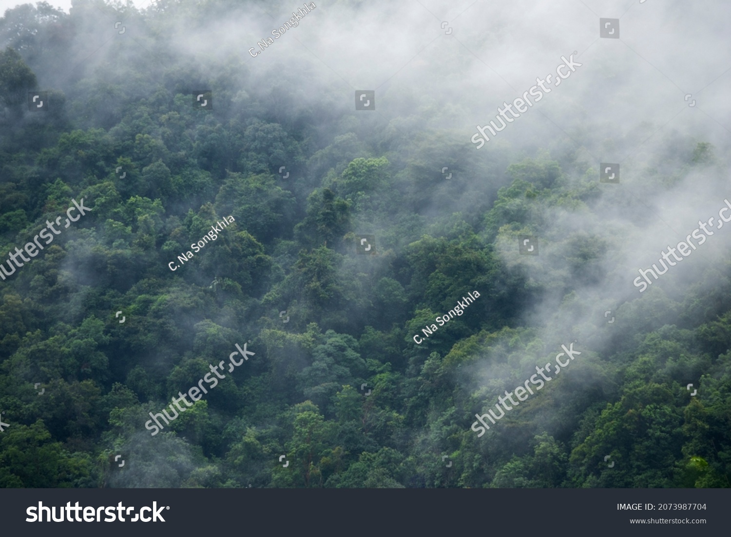 22,766 After Rain Fall Images, Stock Photos & Vectors | Shutterstock