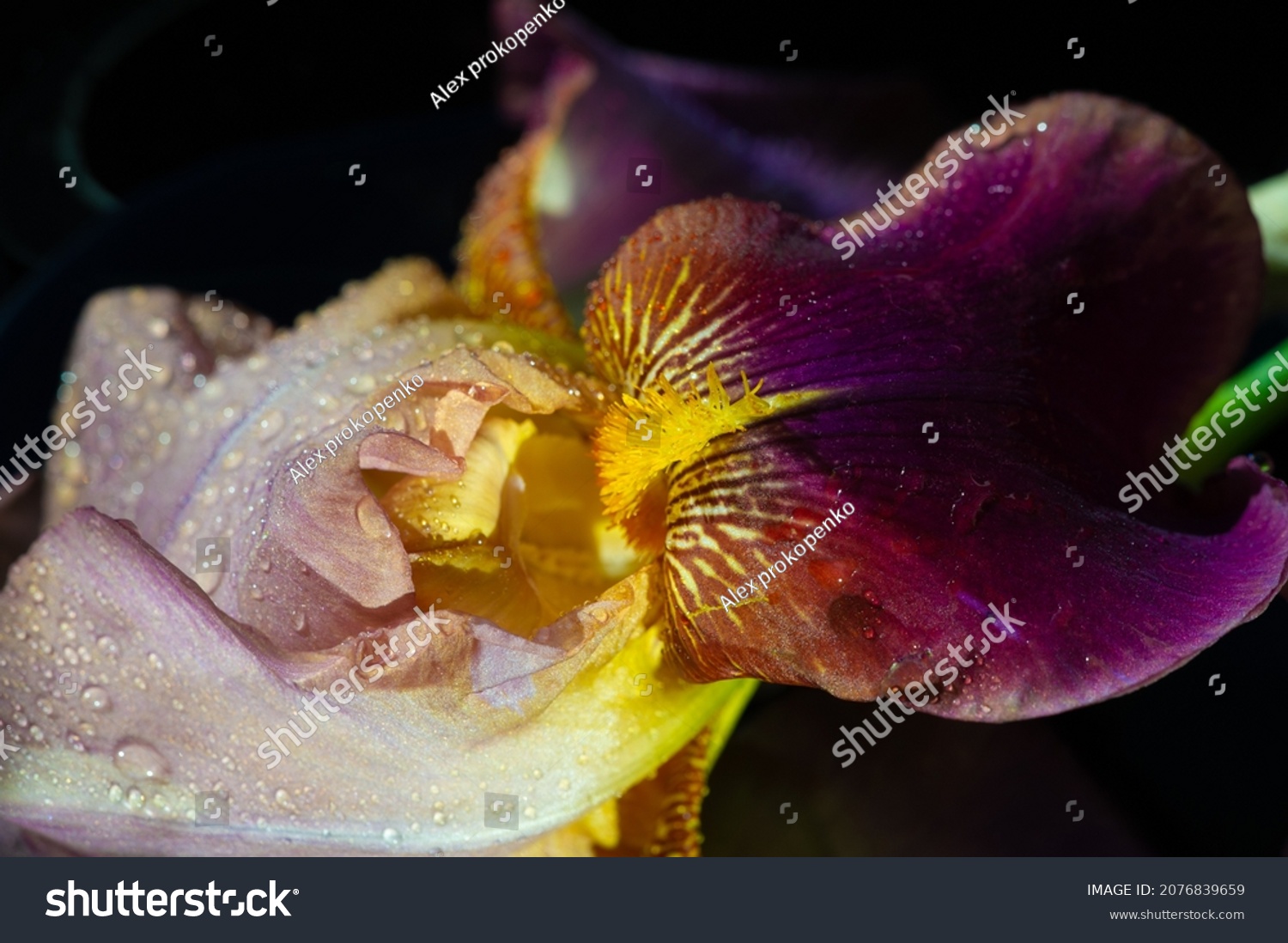 iris-greek-word-rainbow-greeks-rainbow-stock-photo-2076839659