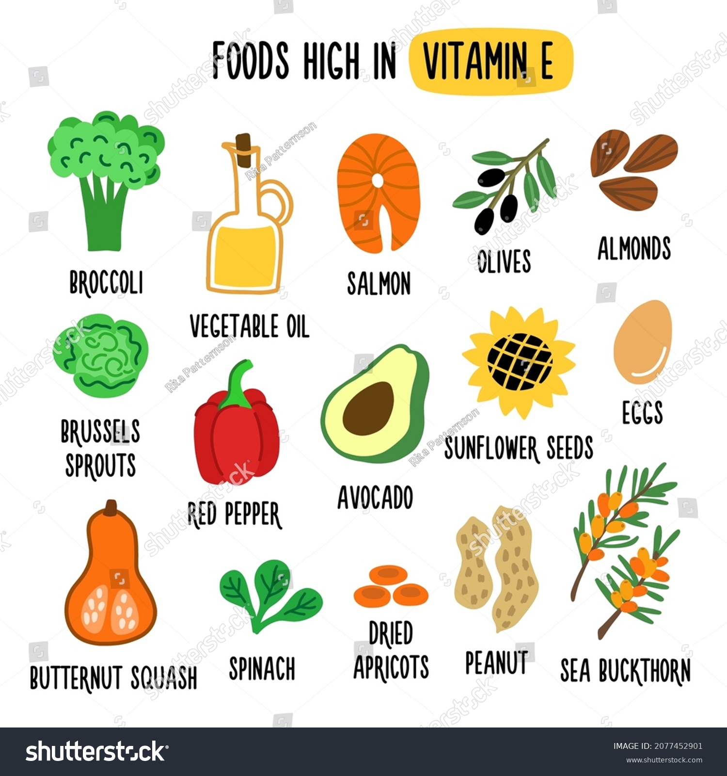 Foods High Vitamin E Source Vitamin Stock Vector (royalty Free 