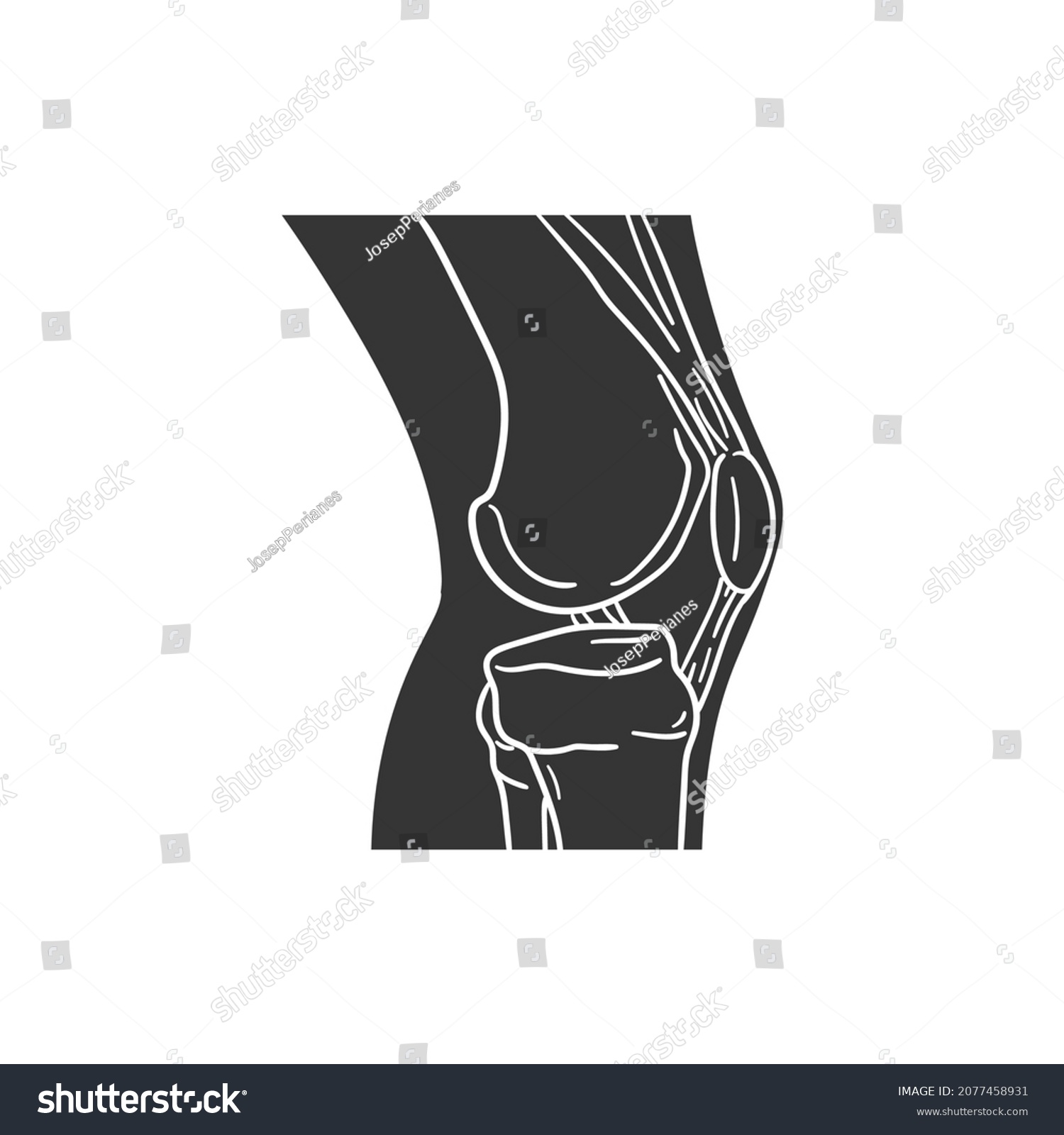 Knee Joint Icon Silhouette Illustration Anatomy Stock Vector (Royalty ...