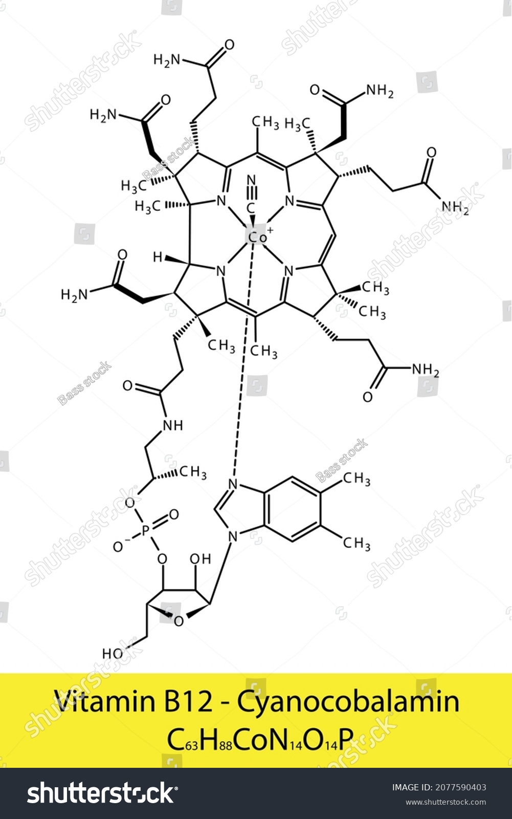 Vitamin B12 Cyanocobalamin Skeletal Structure Molecular Stock Vector ...