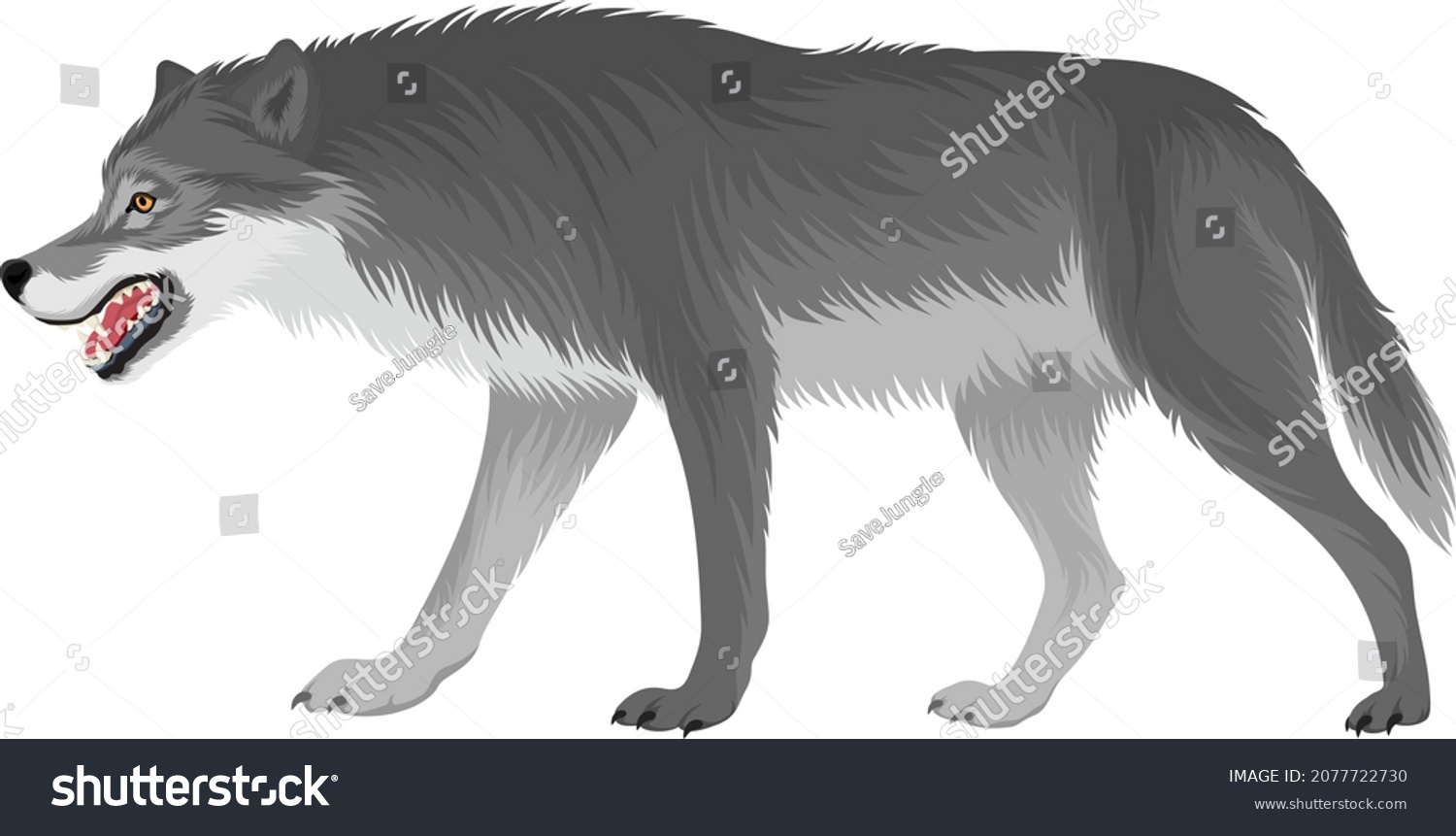 Vector Roaring Gray Wolf Illustration Stock Vector (Royalty Free ...