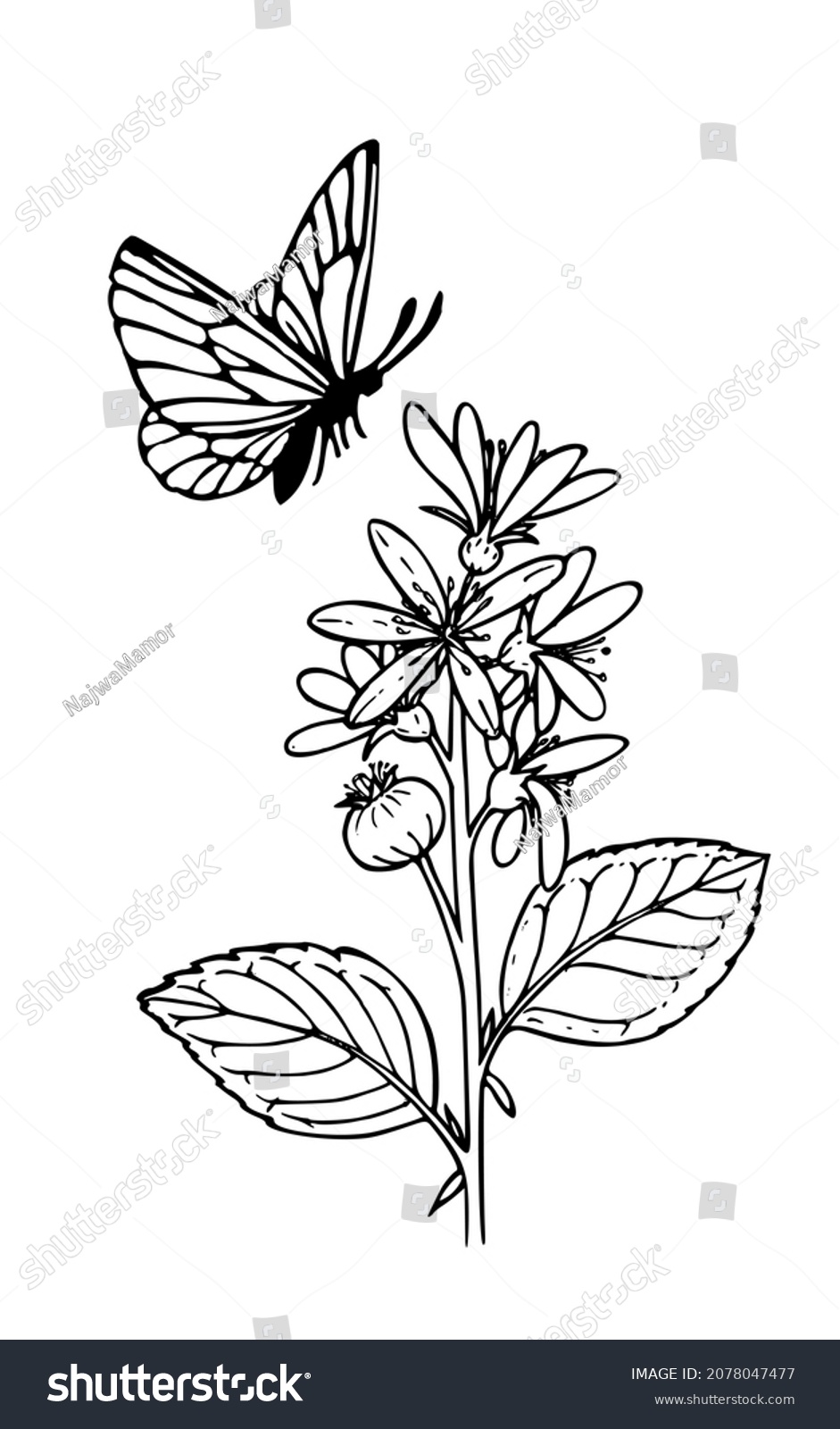 Printing On Demand Coloring Page Adult Stock Illustration 2078047477