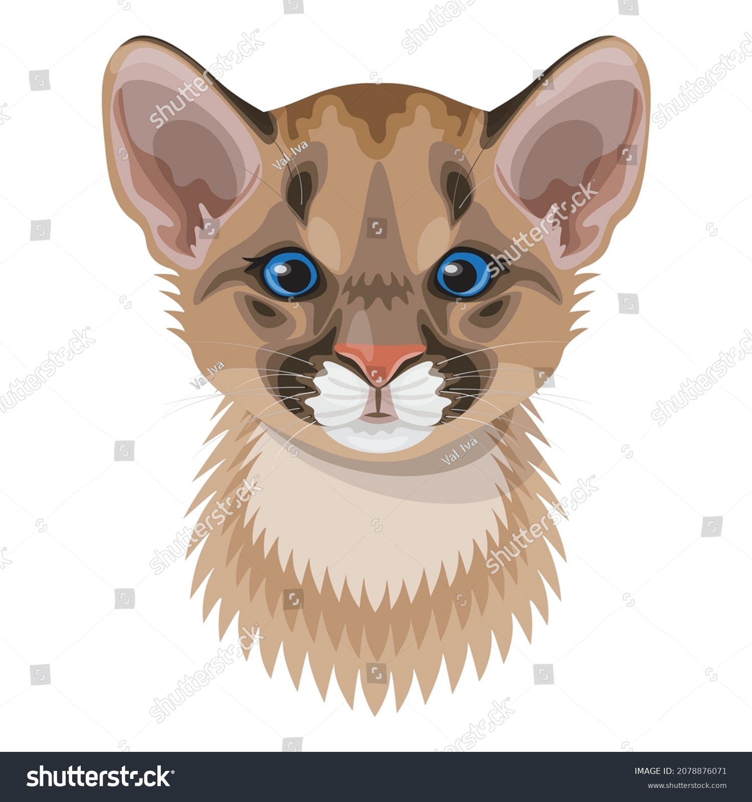 991 Cougar cub Images, Stock Photos & Vectors | Shutterstock