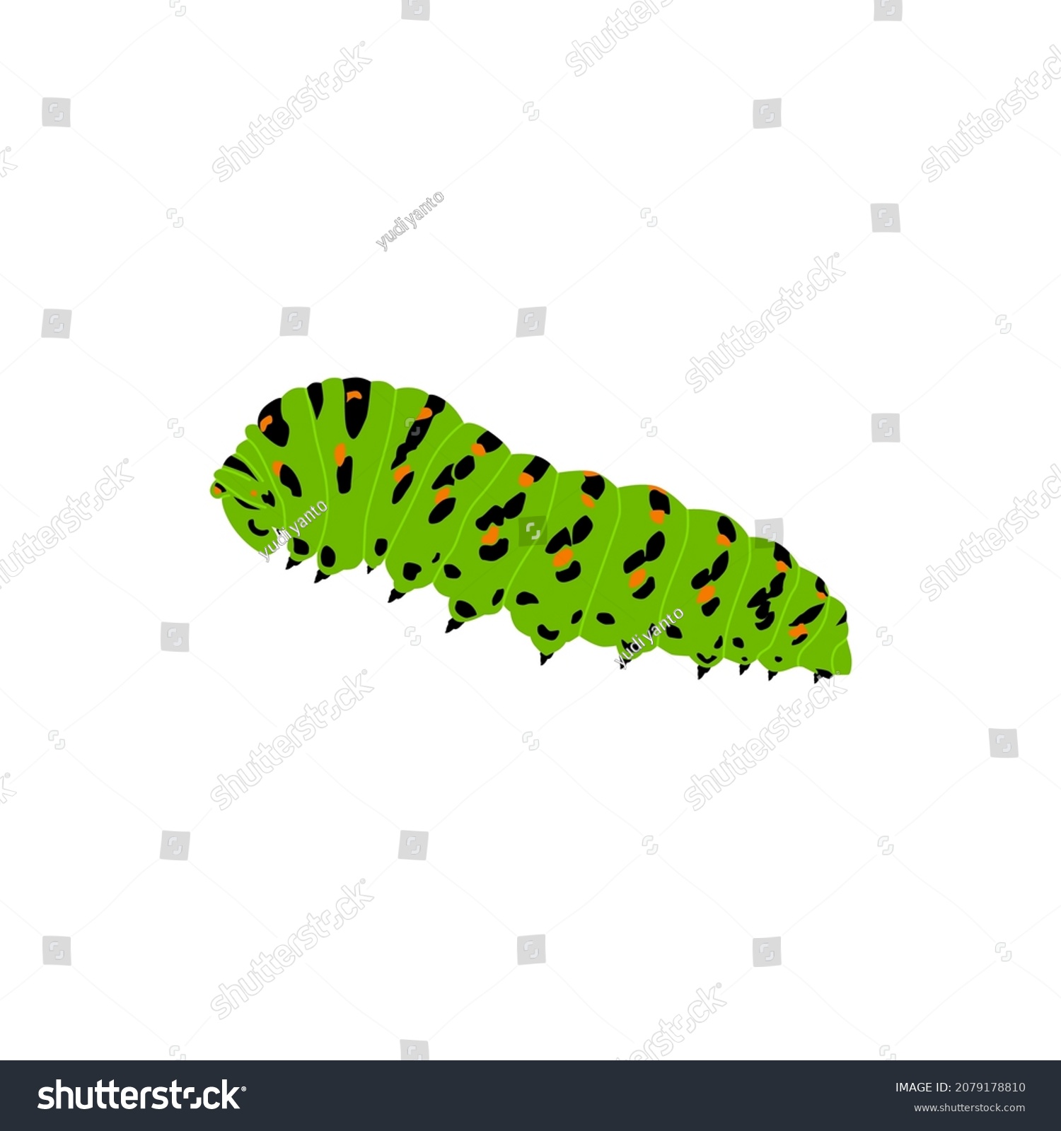 Green Caterpillar Creeps Sketch Vector Graphics Stock Vector (Royalty ...