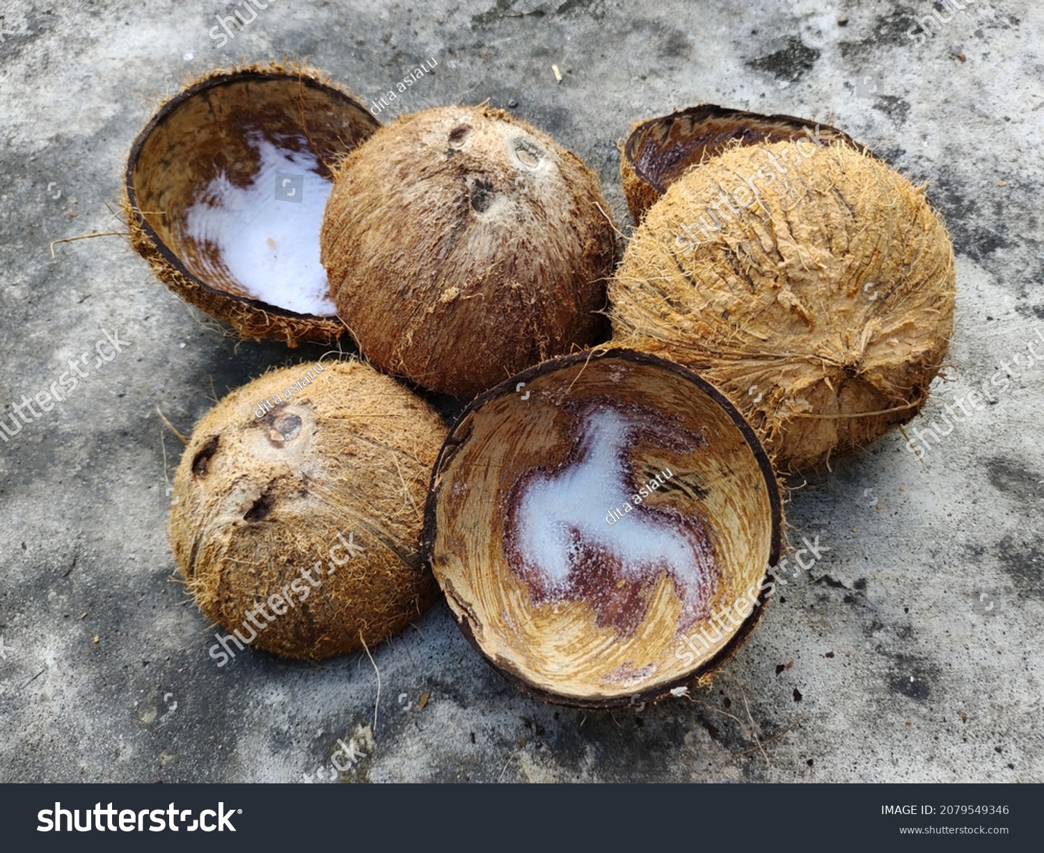 Batok Kelapa Coconut Shells On Cement Stock Photo 2079549346 | Shutterstock