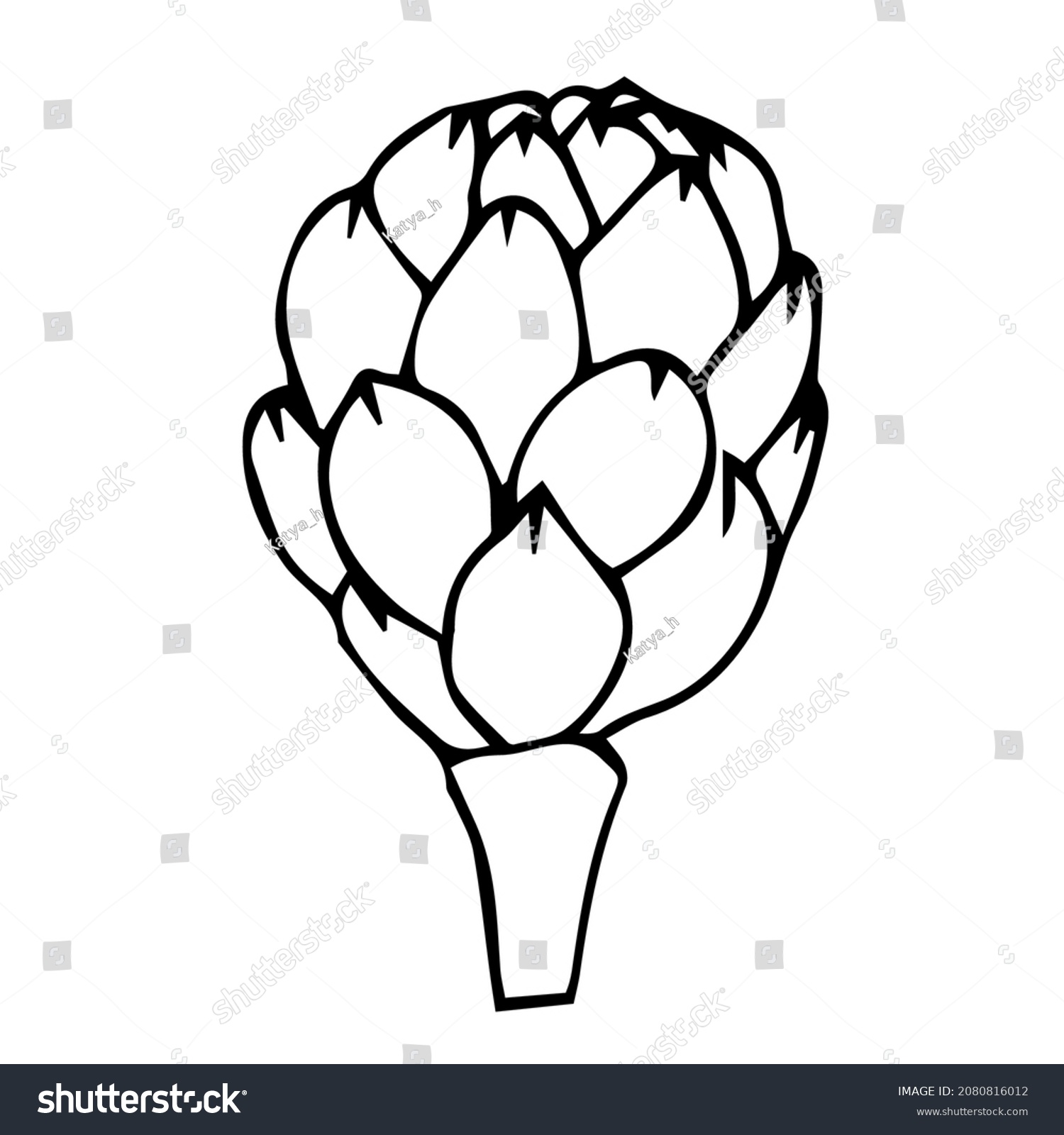 Artichoke Half Vector Illustration Hand Drawing Stock Vector (Royalty ...