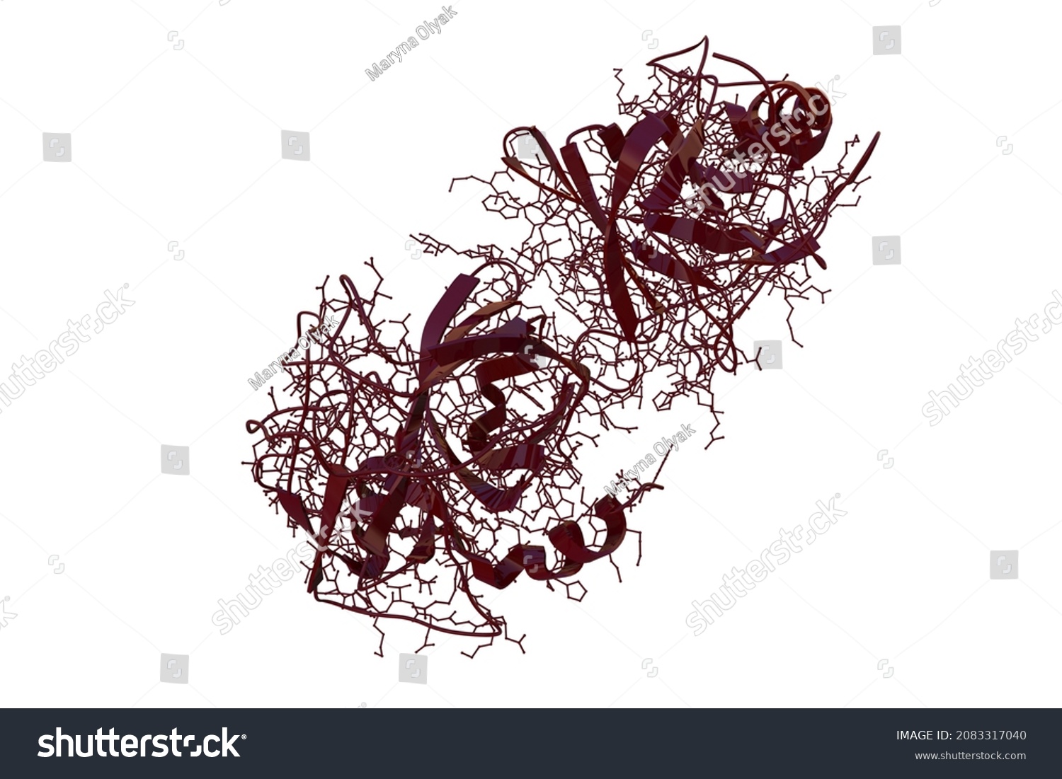 Crystal Structure Molecular Model Human Granzyme Stock Illustration ...