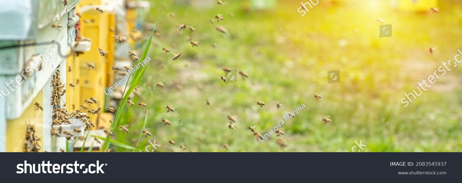 2,394 Bee Coming To Images, Stock Photos & Vectors | Shutterstock