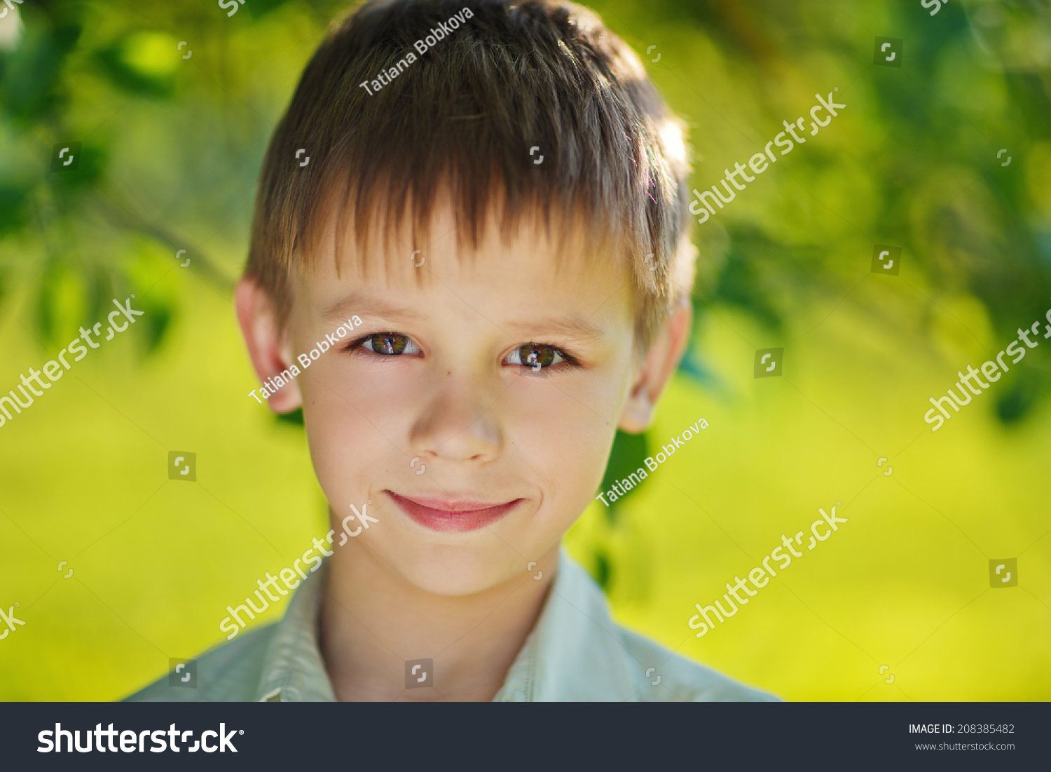 Portrait Smiling Little Boy Sunny Summer Stock Photo 208385482 