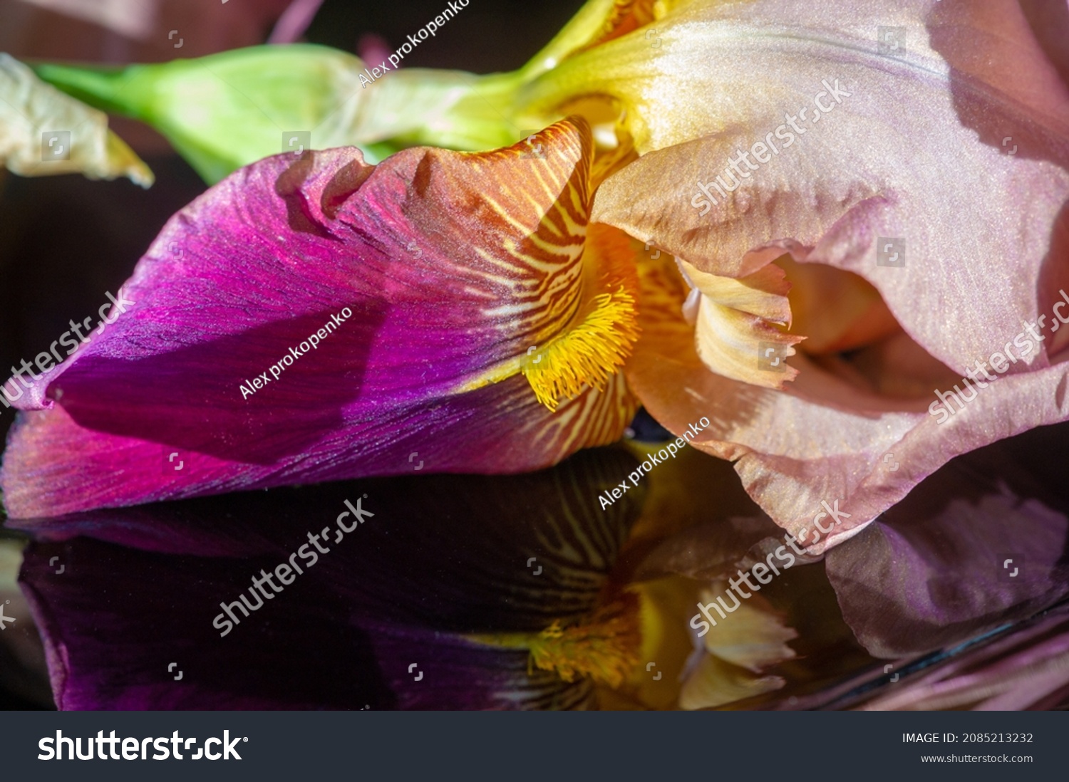 iris-greek-word-rainbow-greeks-rainbow-stock-photo-2085213232