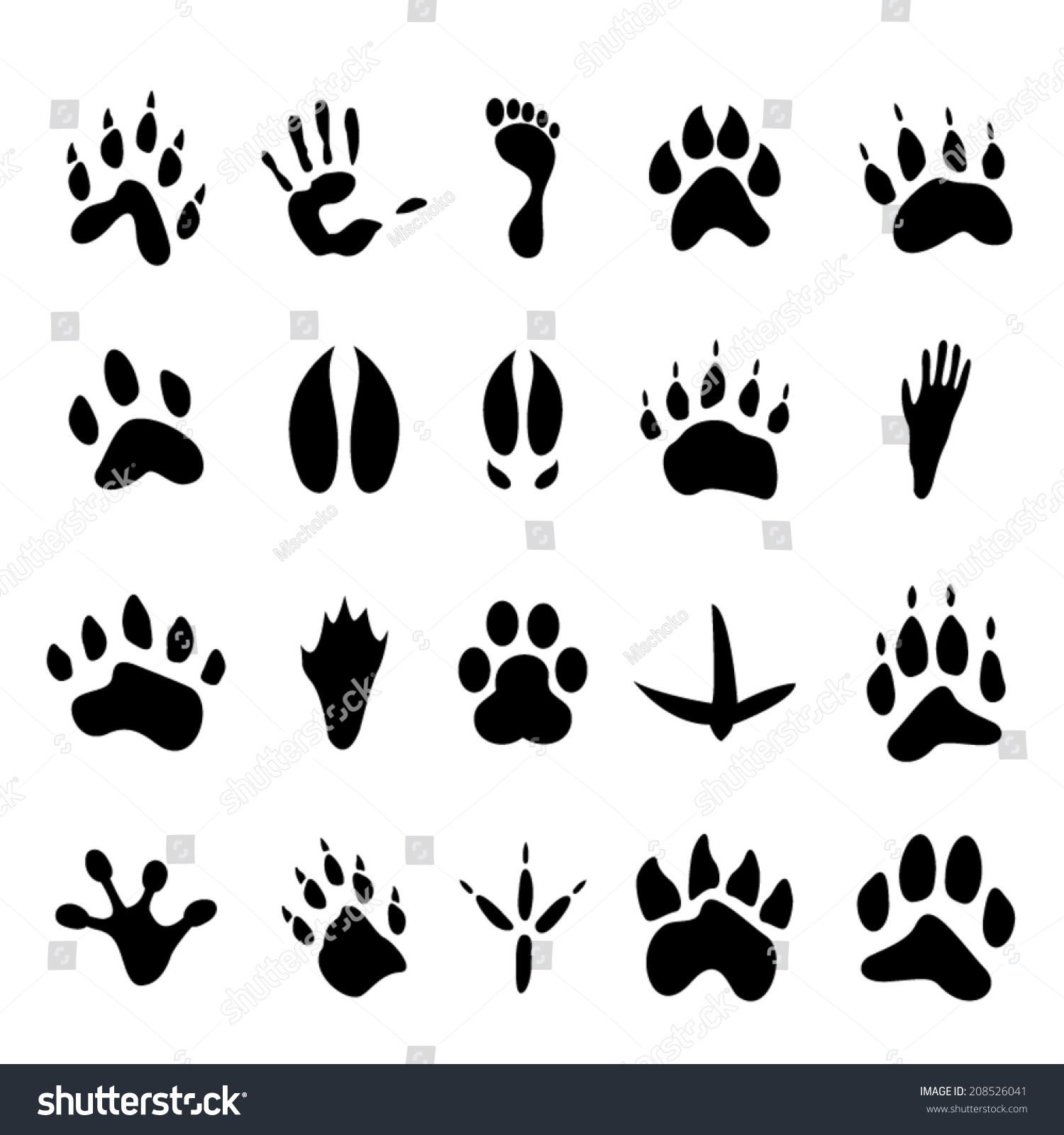 Collection Twenty Animal Human Footprints Stock Vector (Royalty Free ...