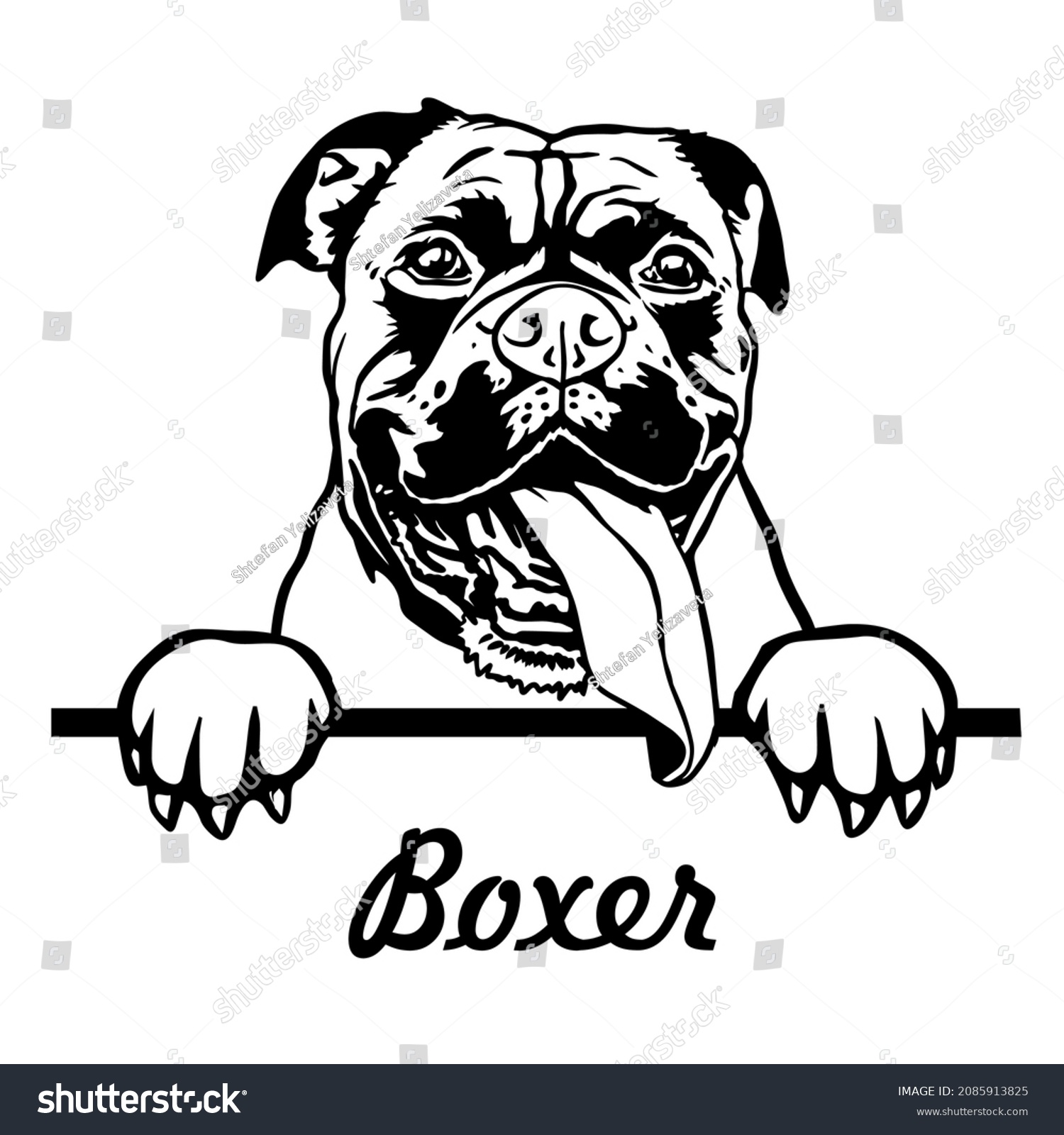 21,991 Boxer Cartoon Images, Stock Photos & Vectors | Shutterstock