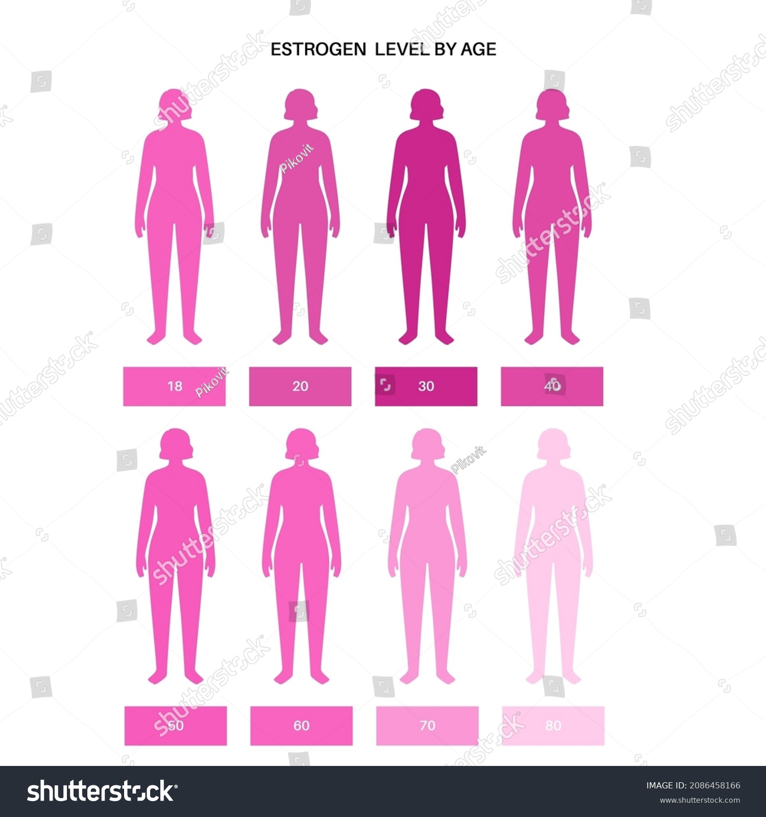 Estrogen Level Color Chart Sex Hormone Stock Vector Royalty Free 2086458166 Shutterstock 4910