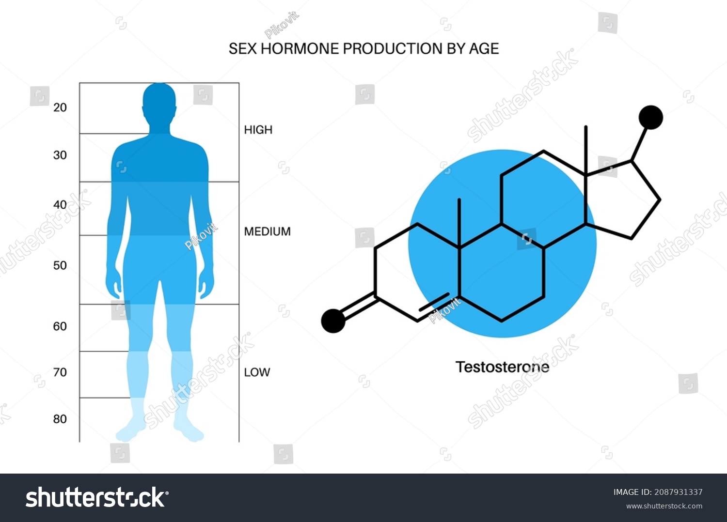 Testosterone Level Color Chart Sex Hormone Stock Vector Royalty Free 2087931337 Shutterstock 