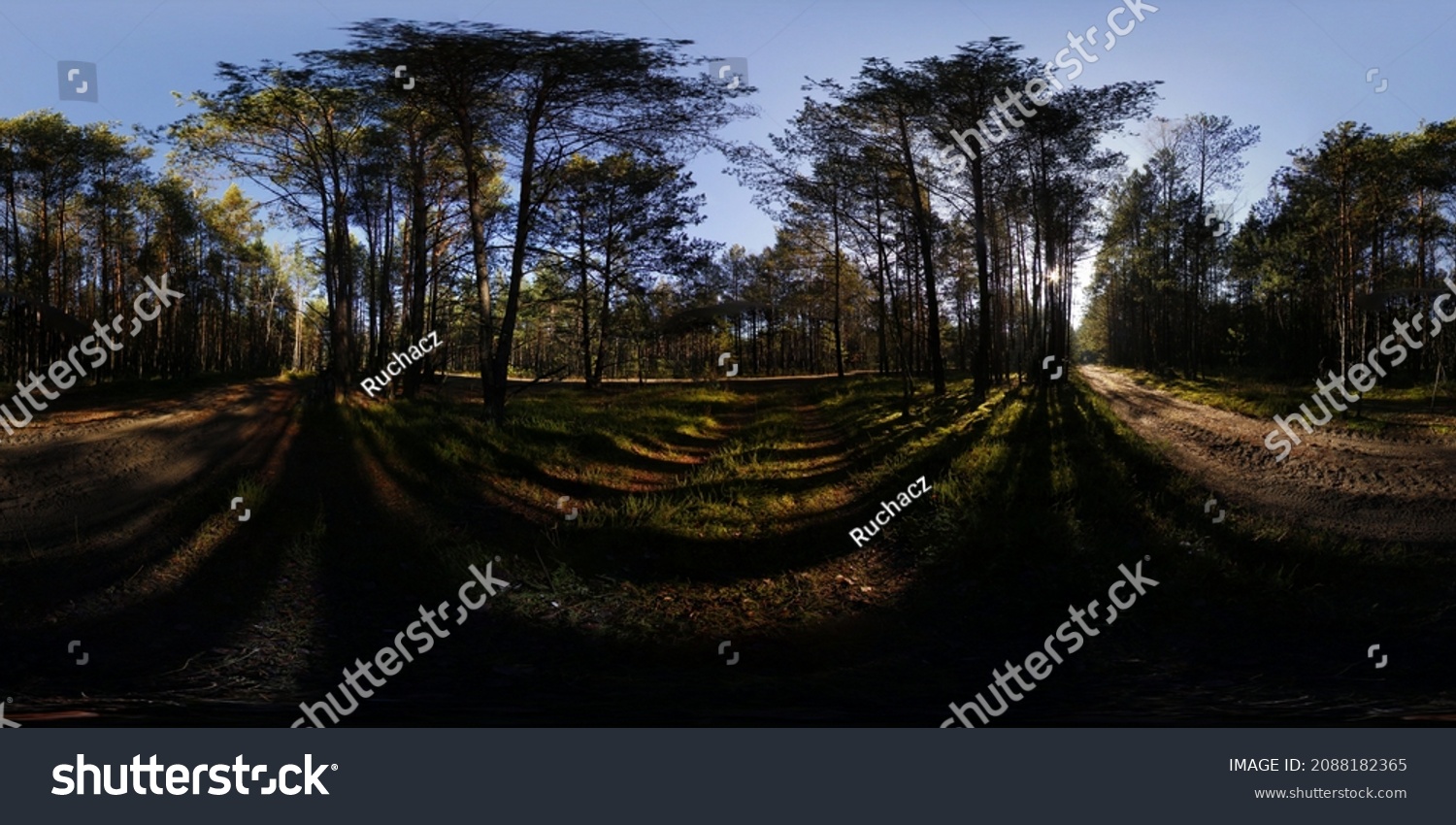 Leafless Trees Forest Winter Hdri Panorama Stock Photo 2088182365 ...