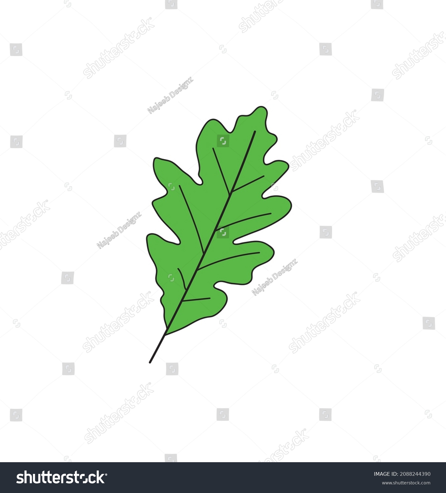 Oak Plant Leaf Vector File Stock Vector (Royalty Free) 2088244390 ...