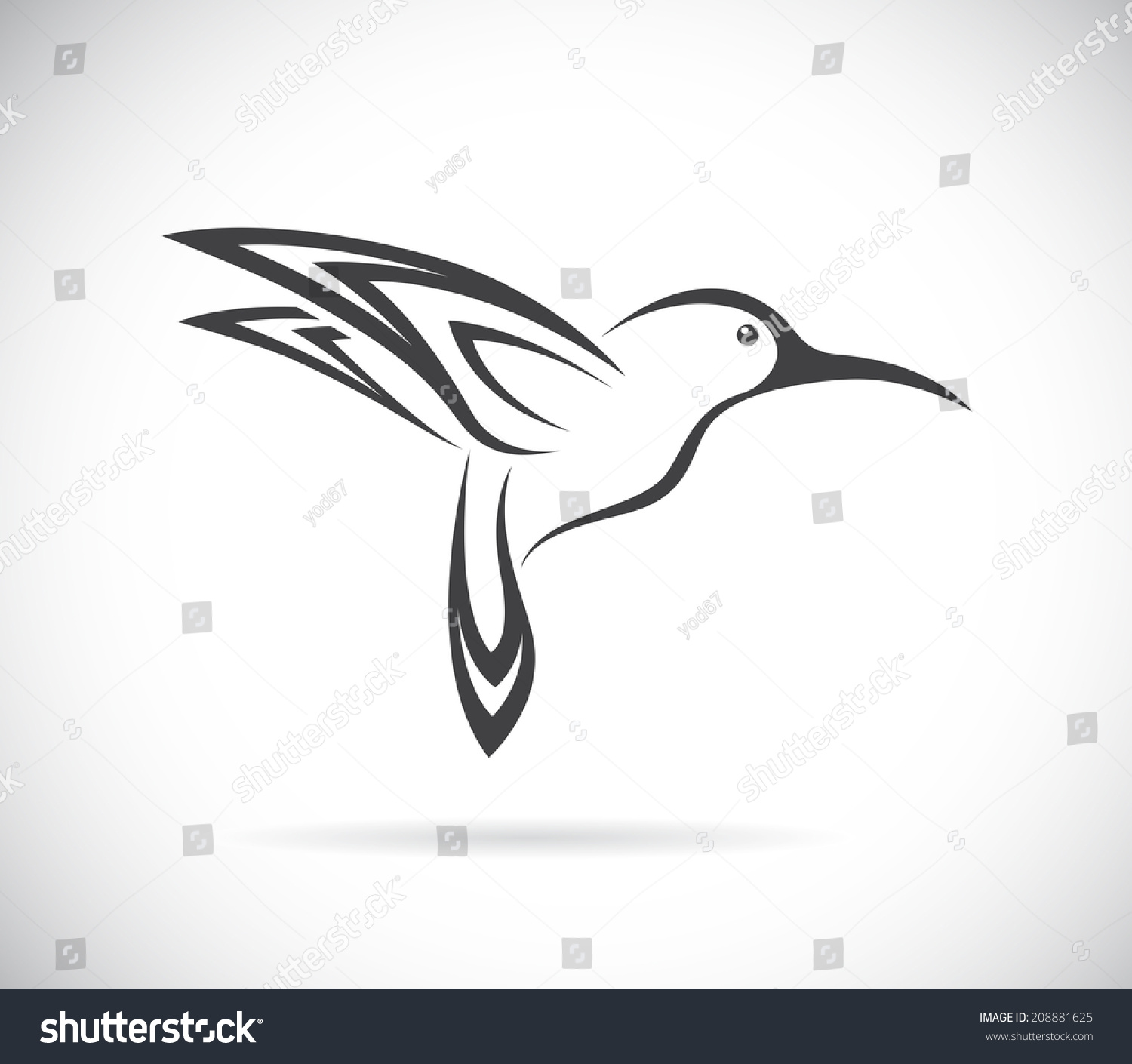 Vector Image Hummingbird Design On White Stock Vector (Royalty Free ...