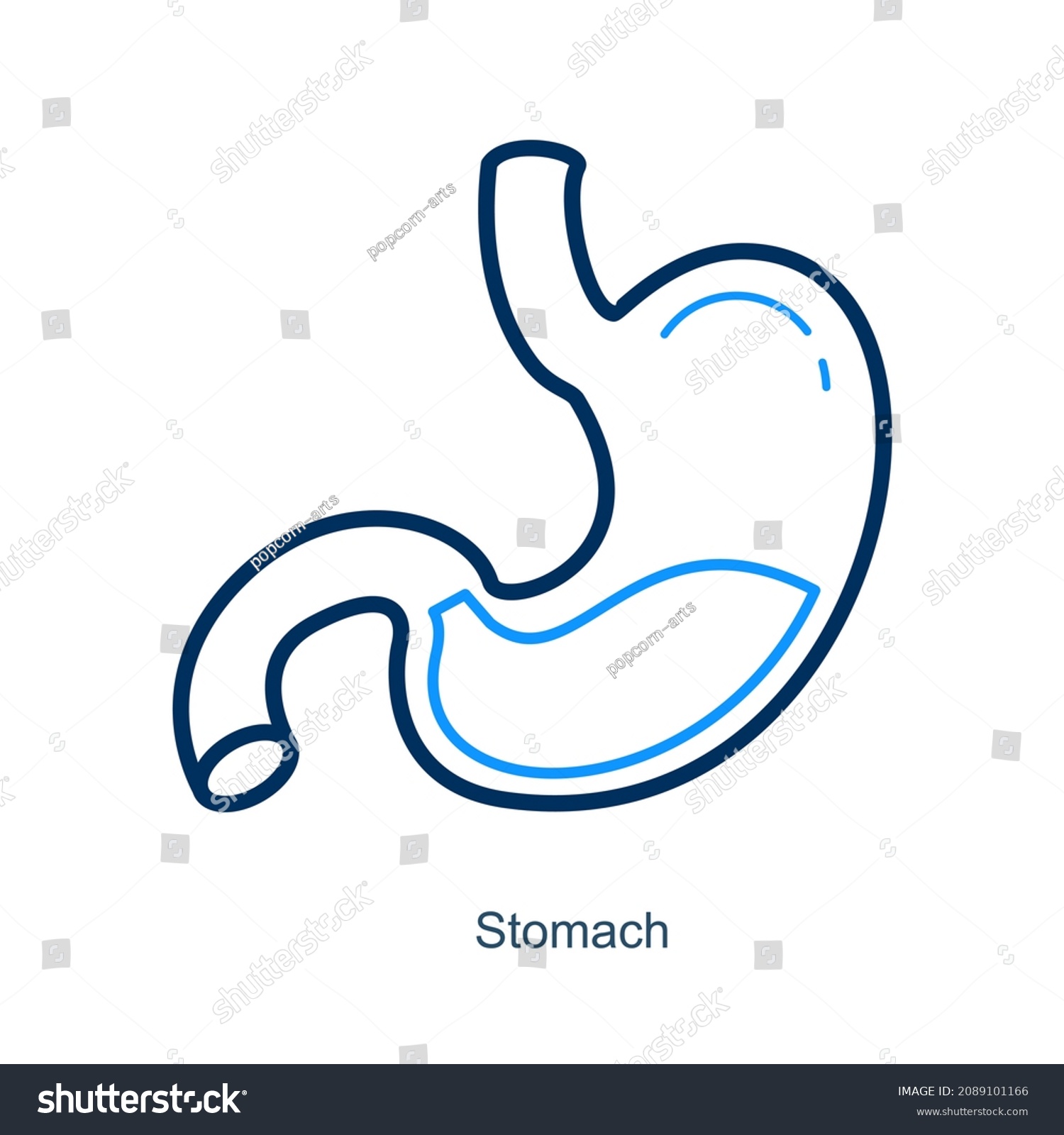 Stomach Abdomen Icon Concept Stock Vector (Royalty Free) 2089101166 ...