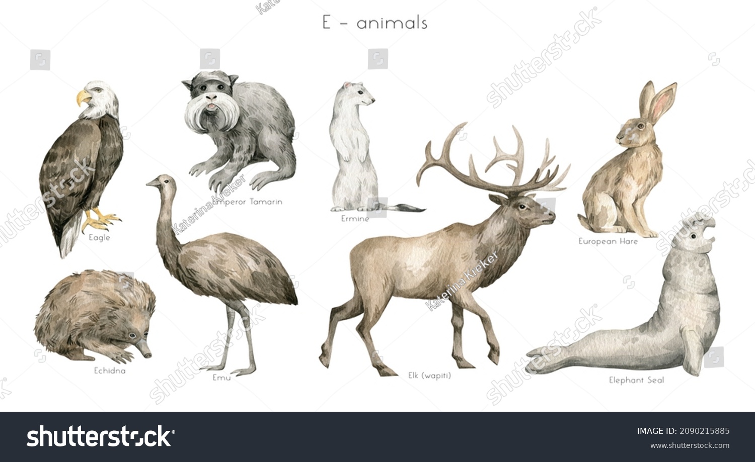 Watercolor Wild Animals Letter E Eagle Stock Illustration 2090215885 ...