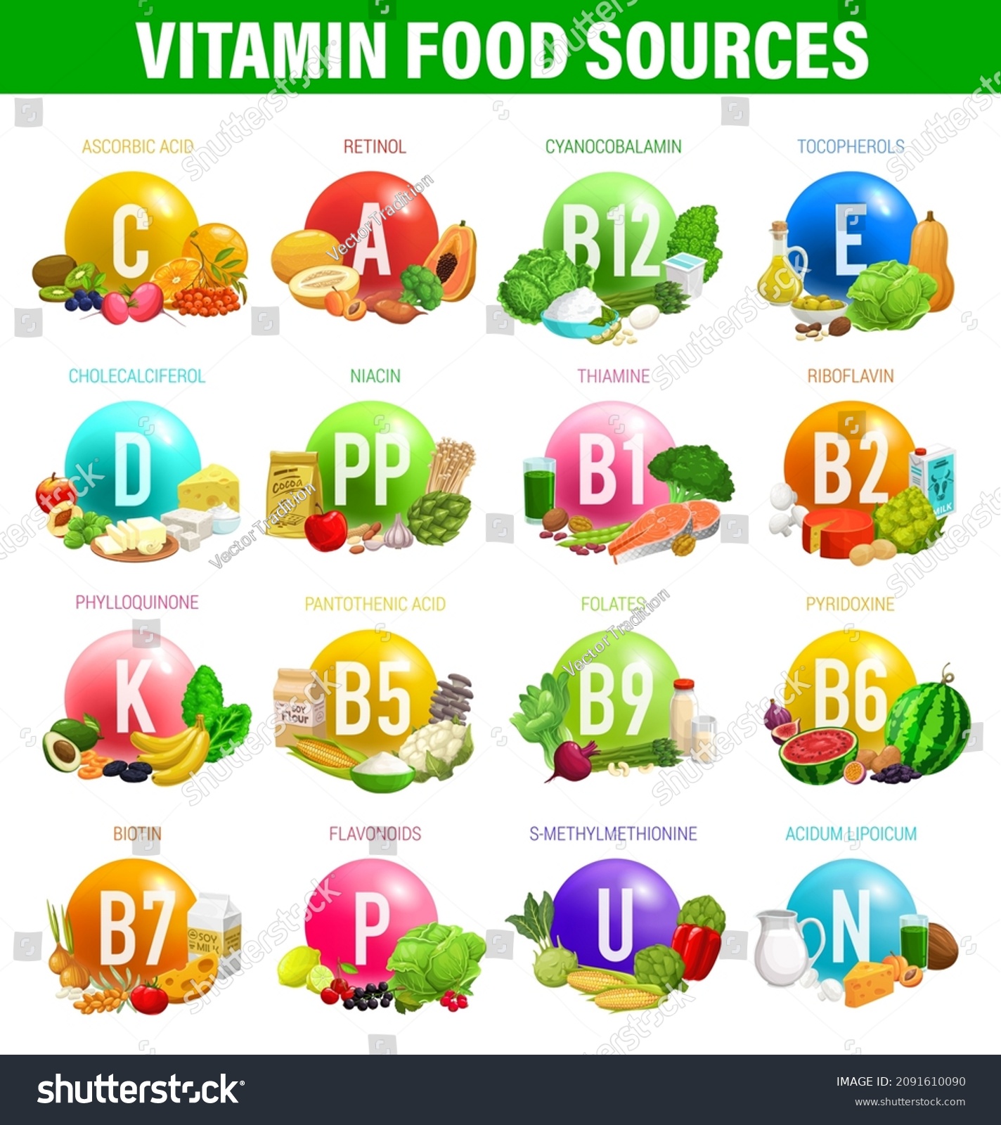 Vitamins Minerals Food Sources Nutrition Vector Stock Vector (Royalty ...