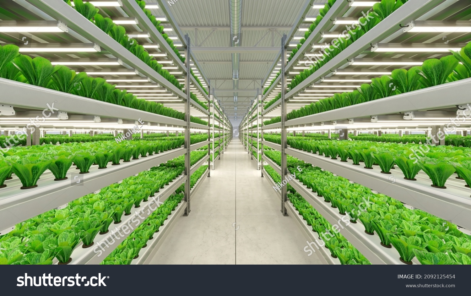 Hydroponic Indoor Vegetable Plant Factory Exhibition Stock Illustration ...