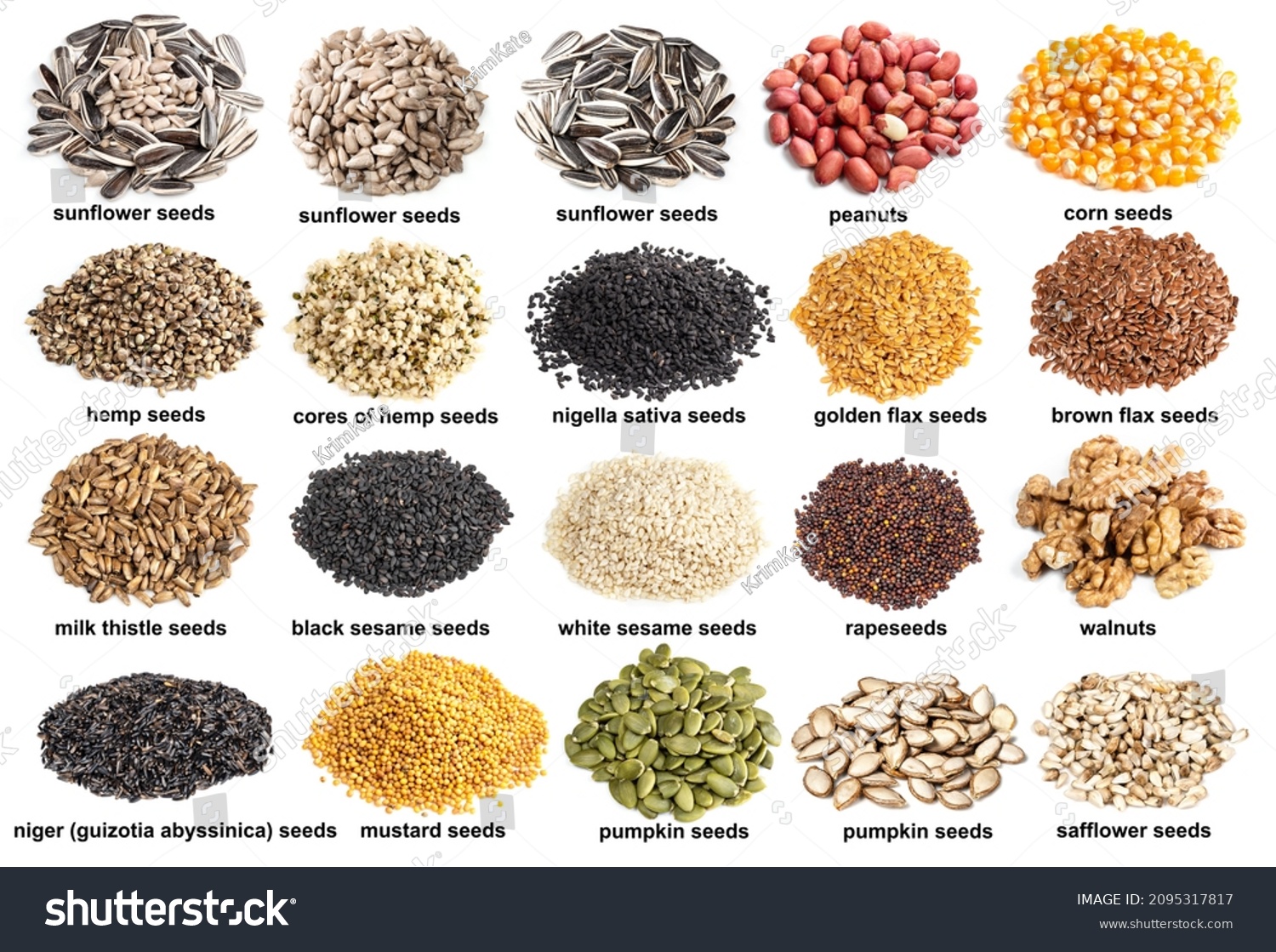 Set Piles Variuos Oil Seeds Names Stock Photo 2095317817 Shutterstock