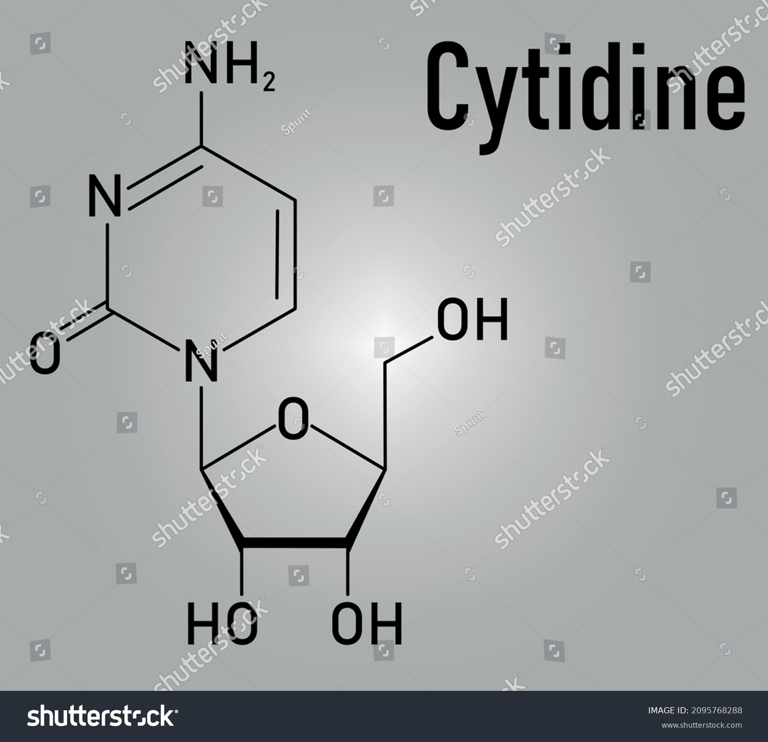 Cytidine Rna Building Block Molecule Skeletal Stock Vector (Royalty ...