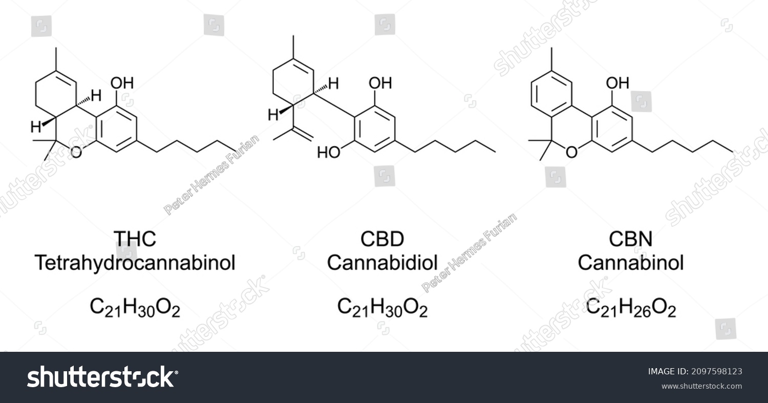 Thc Cbd Cbn Chemical Formulas Structures Stock Vector (Royalty Free ...