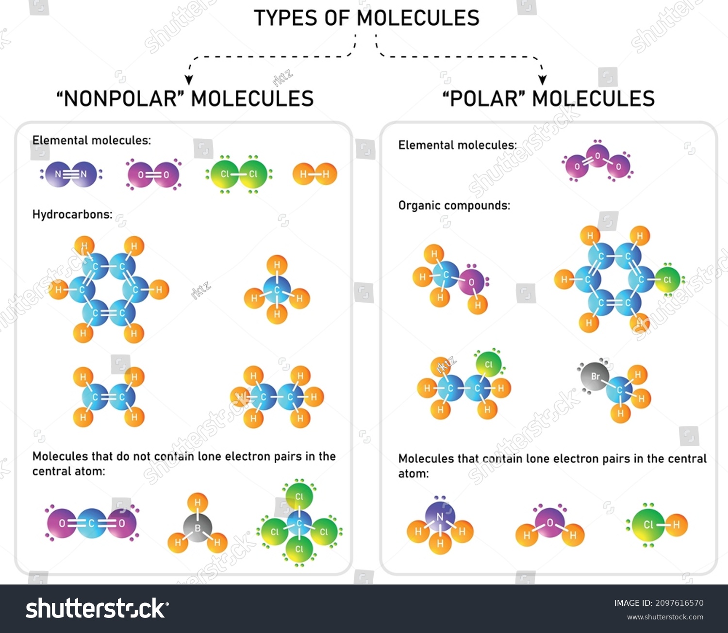 Polar Nonpolar Molecules Common Examples Stock Vector (Royalty Free ...