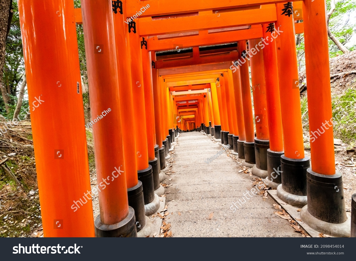 Traditional Korean Fermented Food Gwangjang Market写真素材 Shutterstock