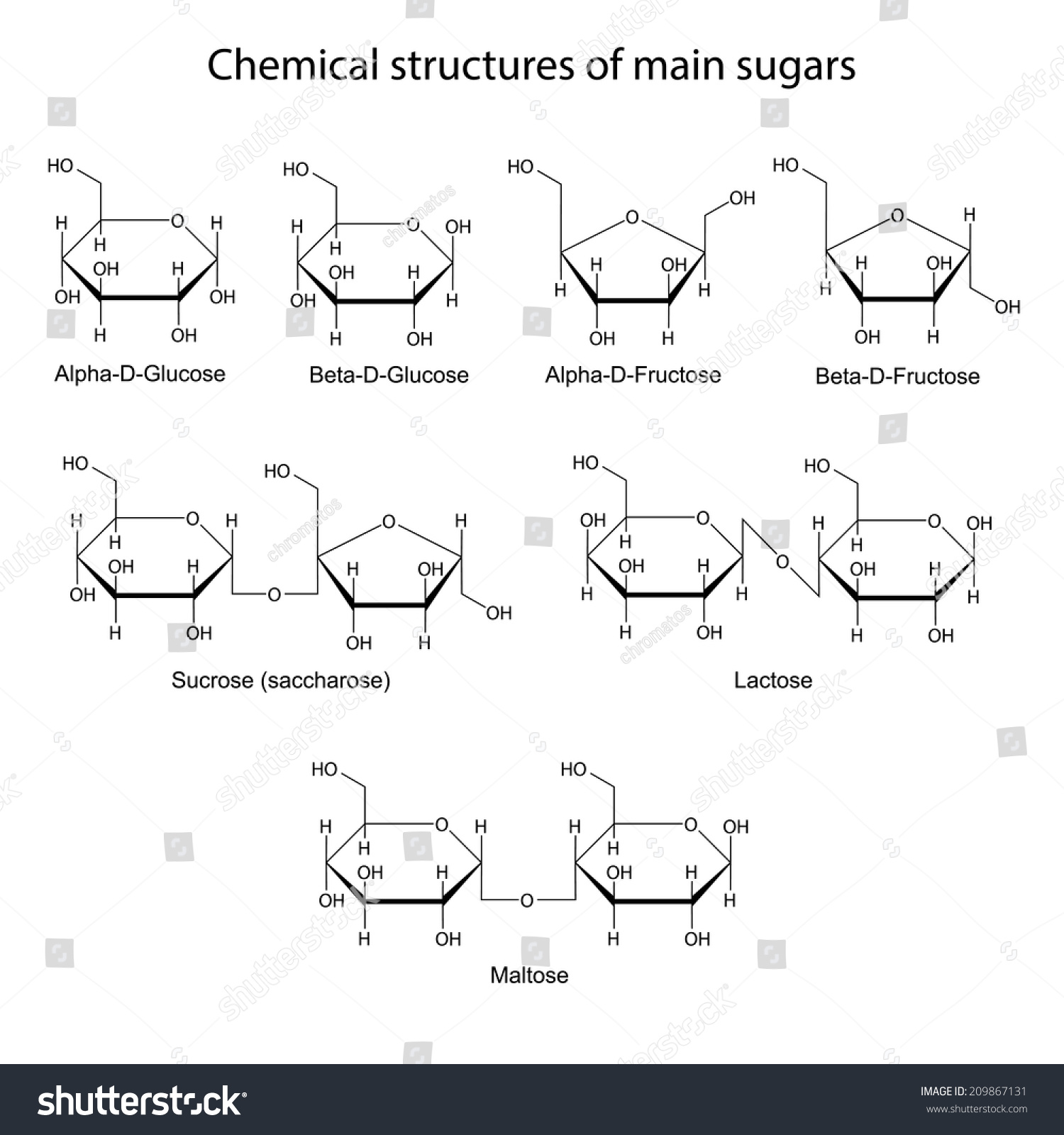 Chemical Structures Main Sugars Mono Disaccharides Stock Vector ...