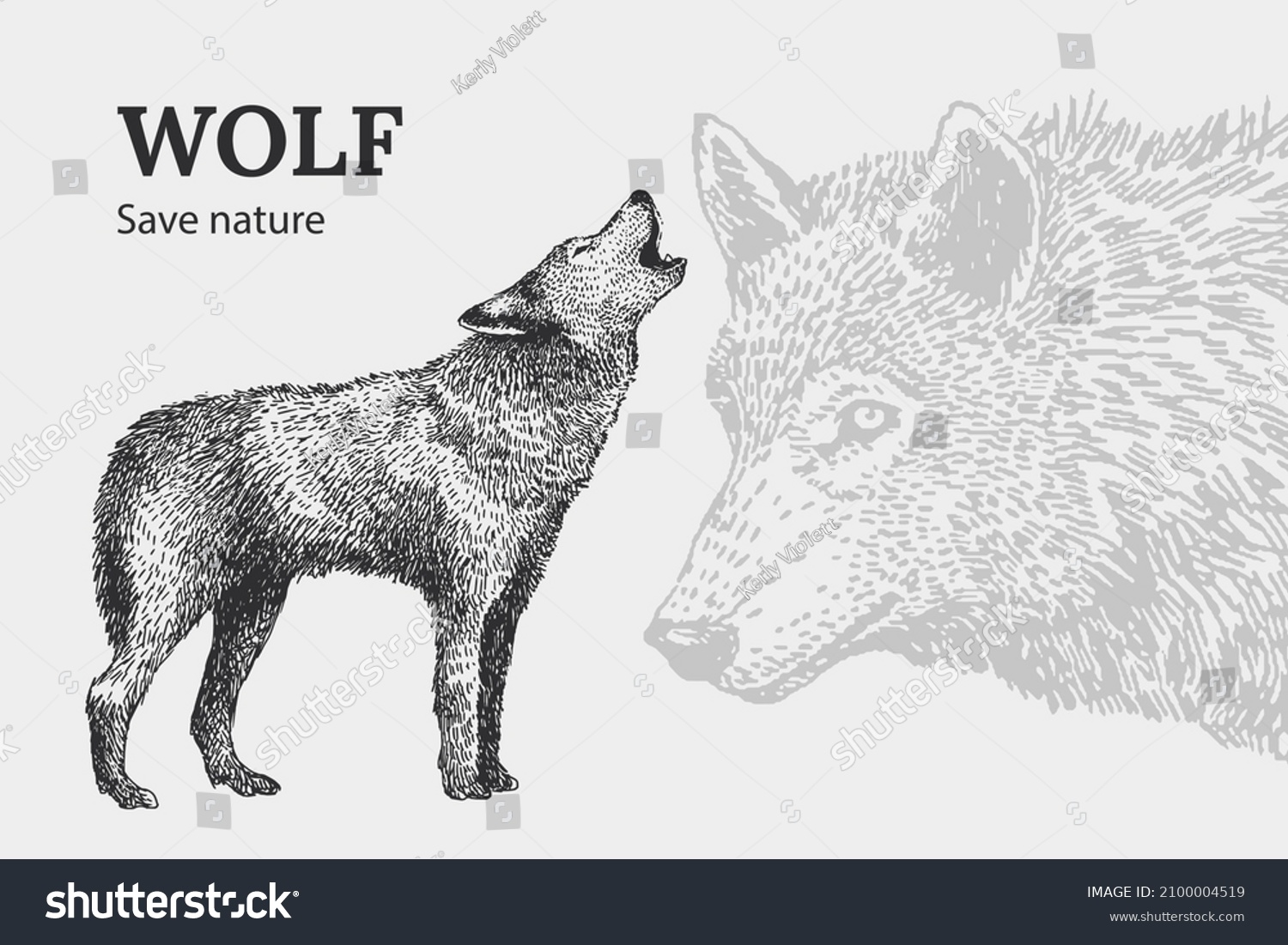 64,223 Wolf Drawing Images, Stock Photos & Vectors | Shutterstock