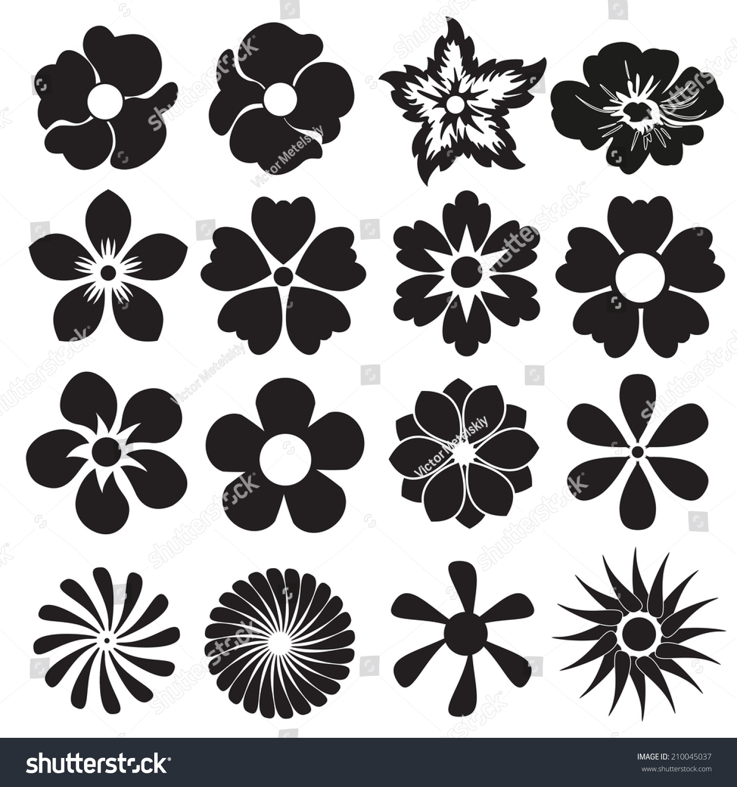 Flowers Set Design Elements Black Flowers Stock Illustration 210045037 ...