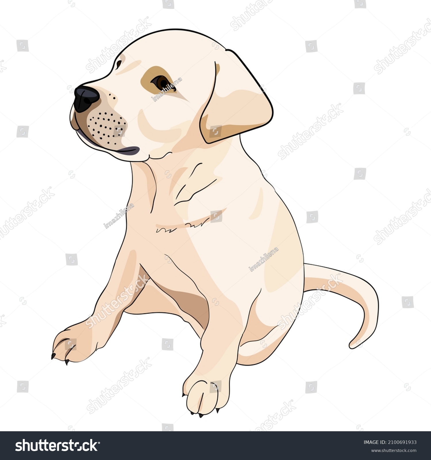 Sketch Drawn Black Outline White Labrador Stock Illustration 2100691933 ...