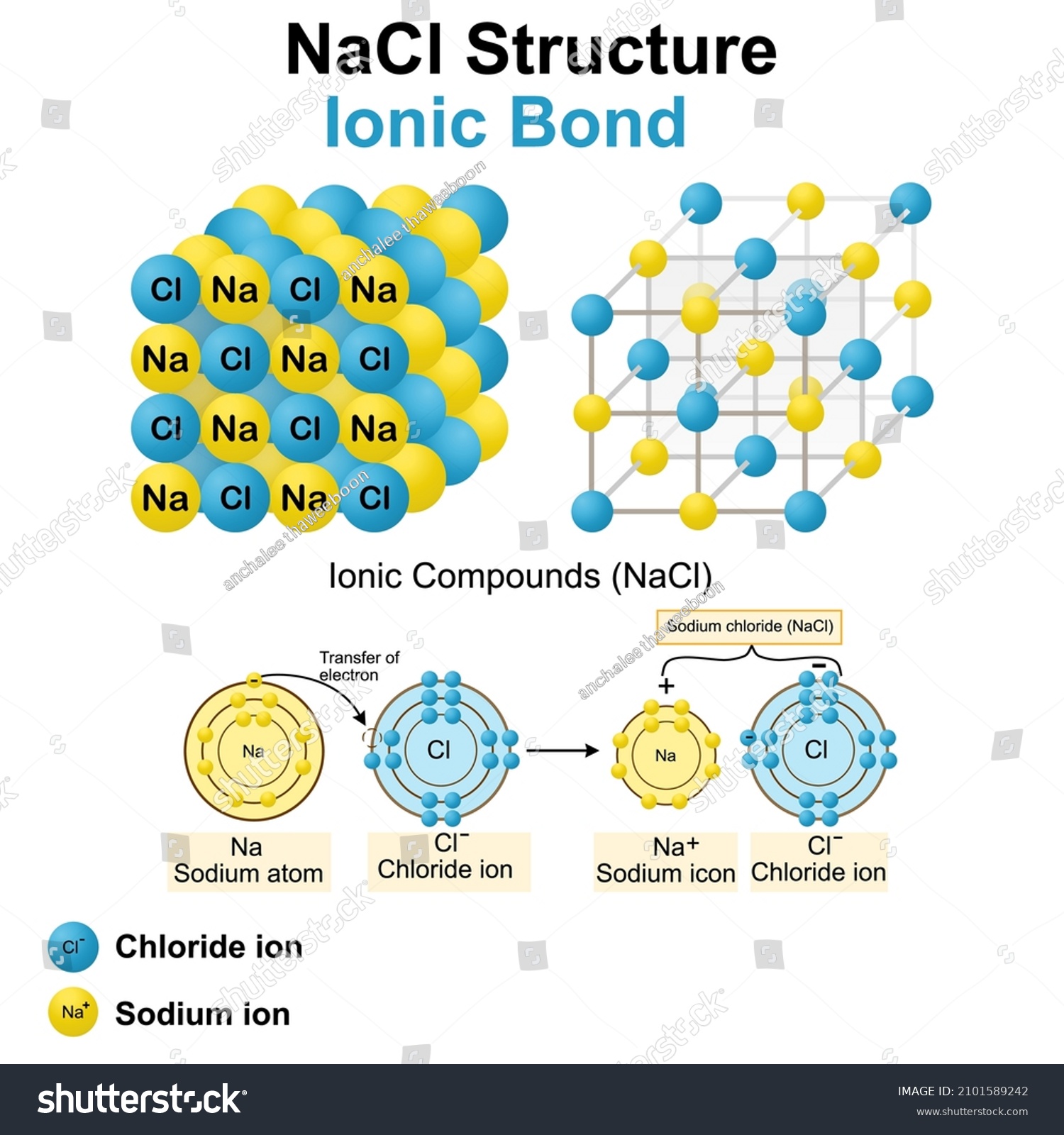 Structure Sodium Chloride Saltnacl Modelvector Illustrationchemistry ...