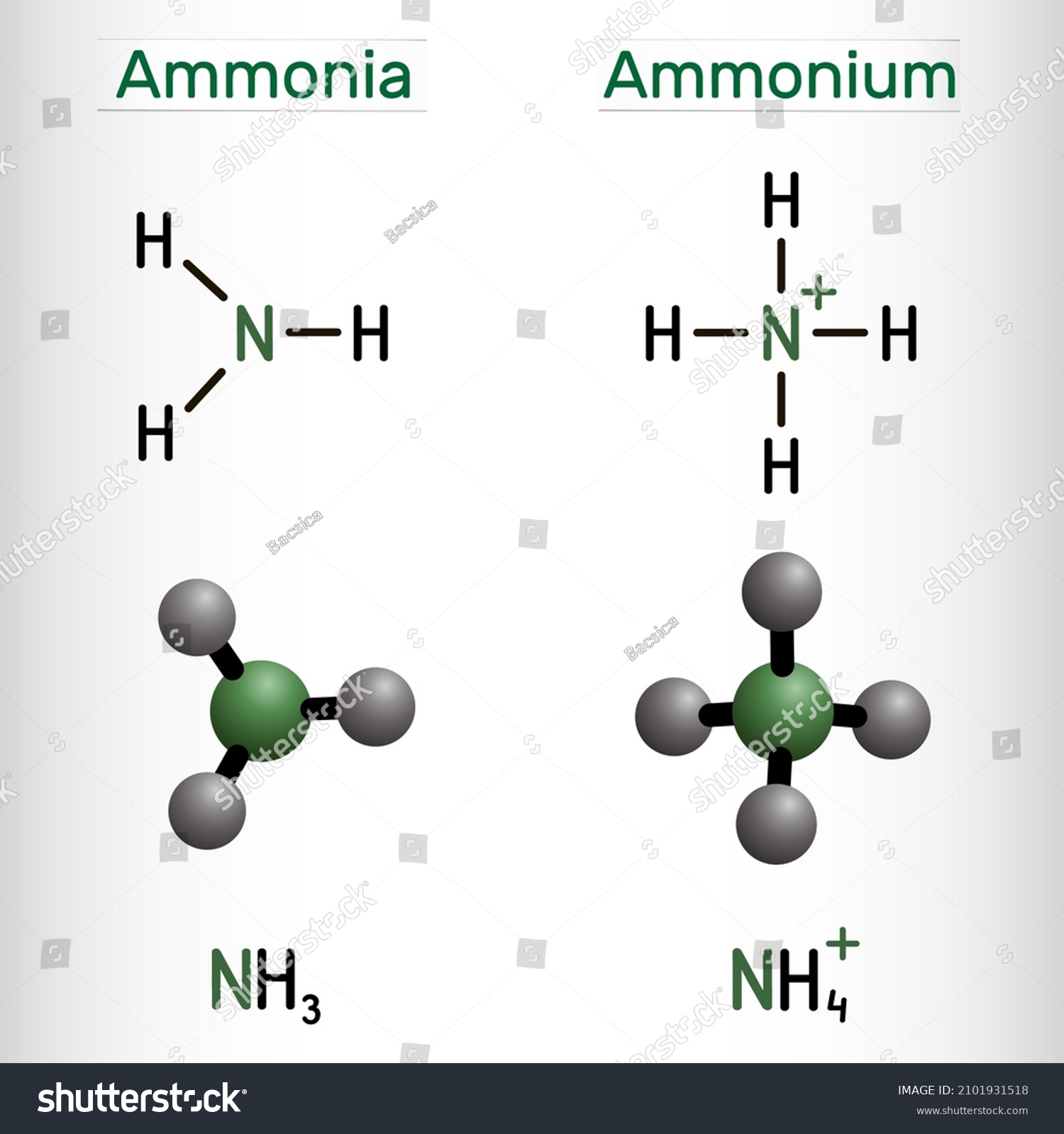 ammonia molecular structure