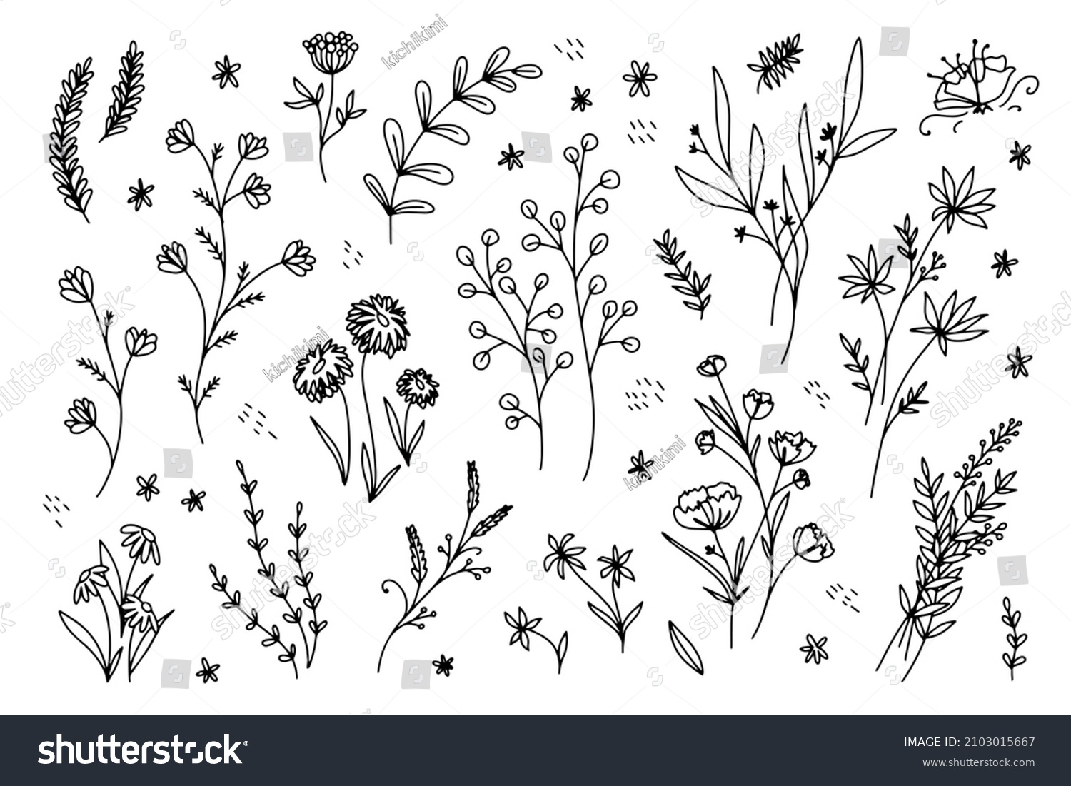 Outline Flowers Beautiful Clipart Elements Nature Stock Vector (Royalty ...