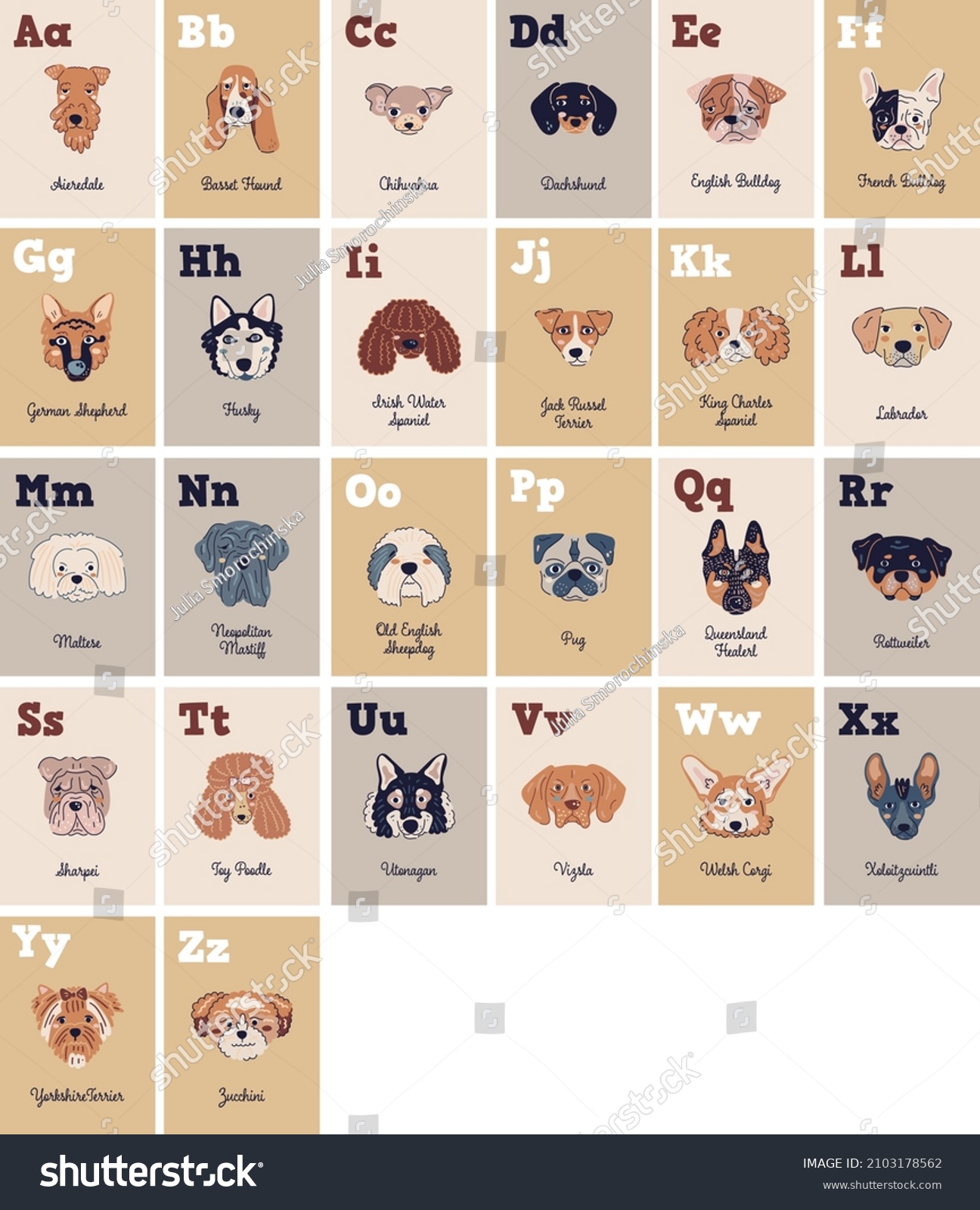 Vector Color Dog Breeds Alphabetical Cards Stock Vector (Royalty Free ...