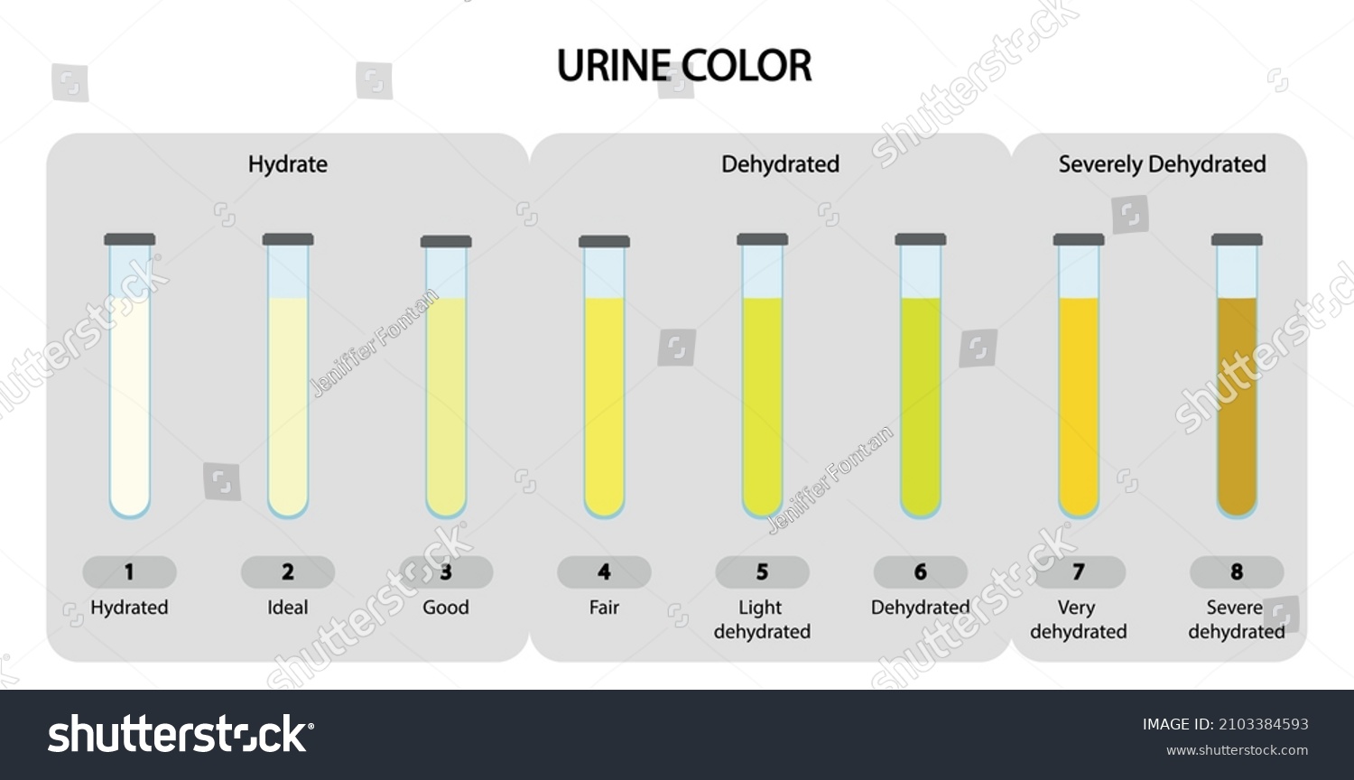 Urine Color Scale Chart Scale Analyse Stock Vector (Royalty Free