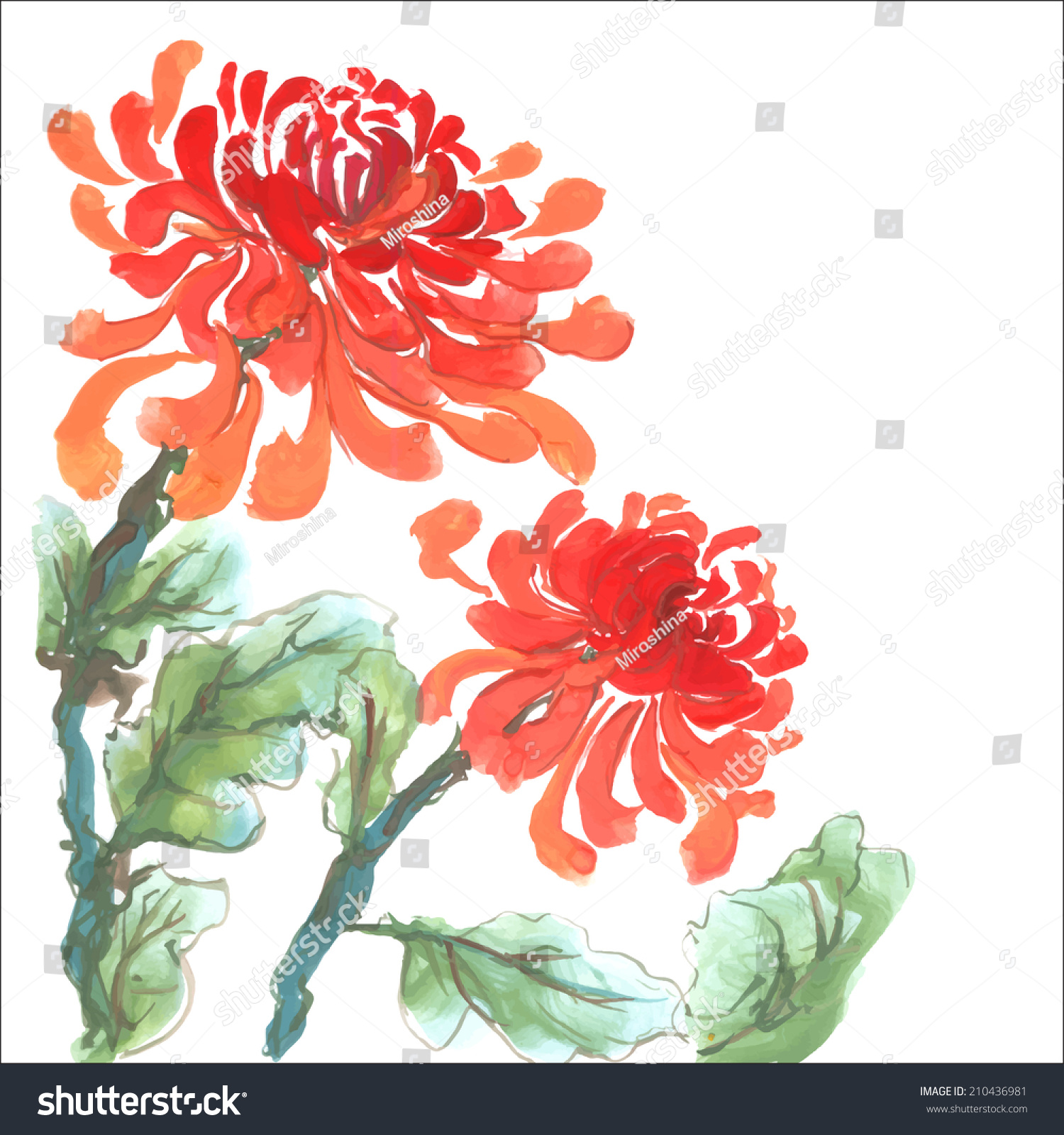 Хризантема мелкоцветковая гуашью