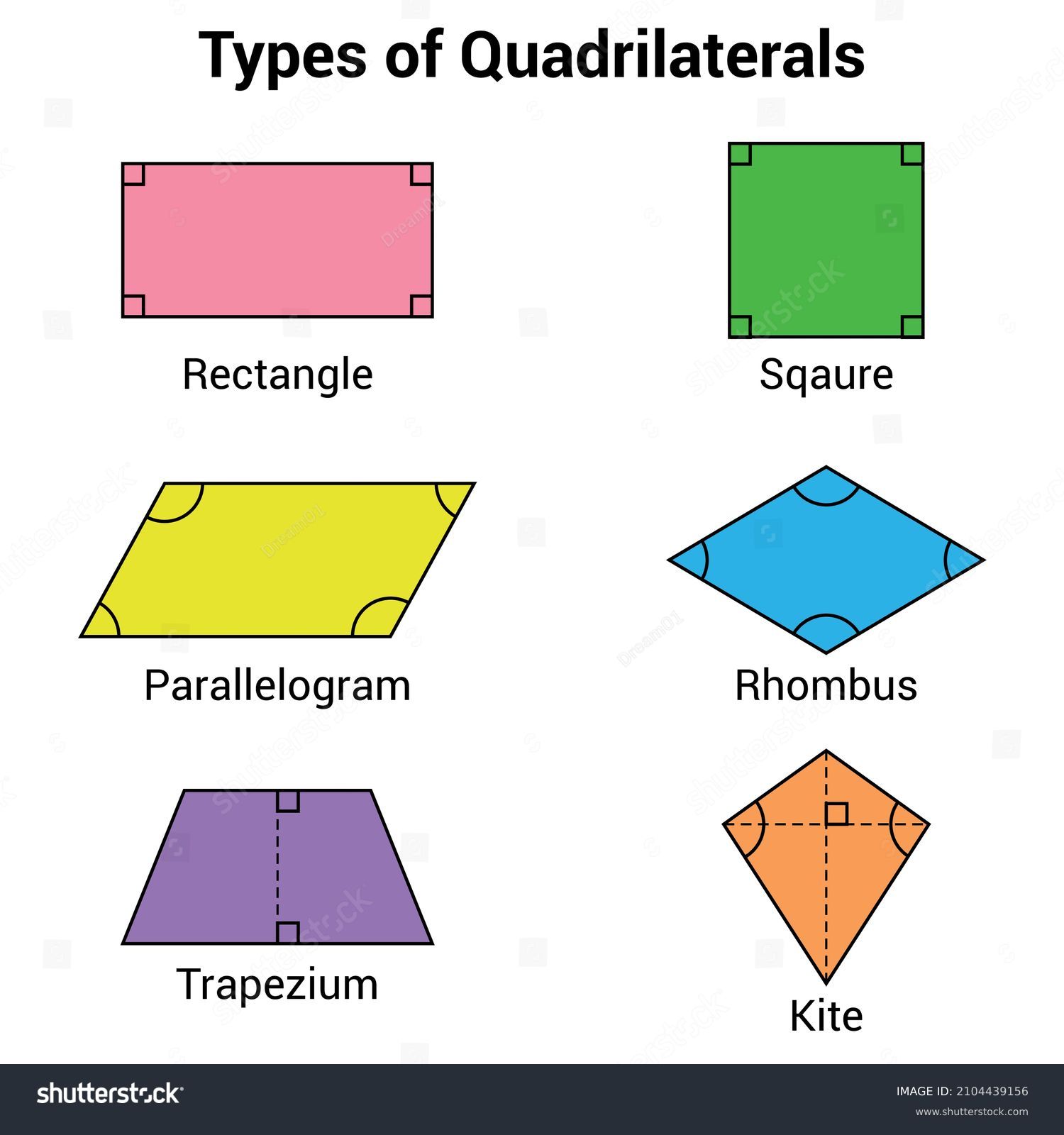 Types Quadrilaterals Shapes Mathematics Rectangle Square Stock Vector ...