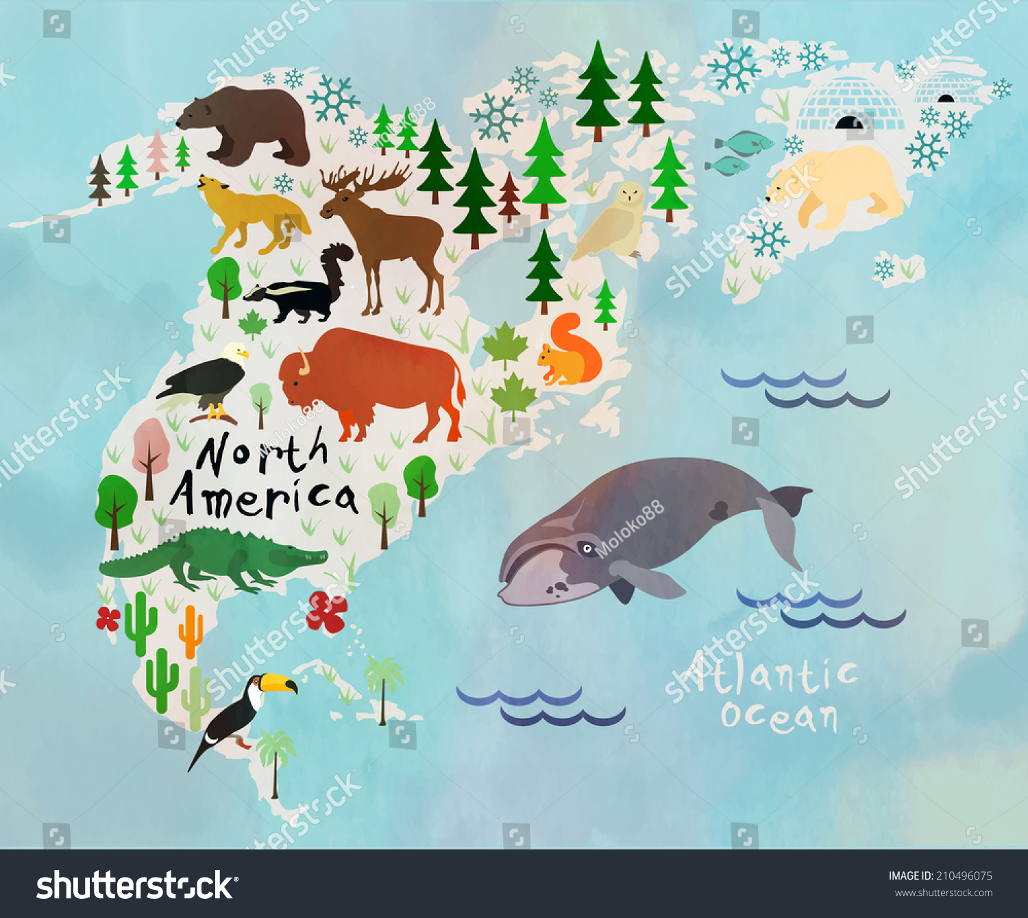 Животные Северной Америки на карте