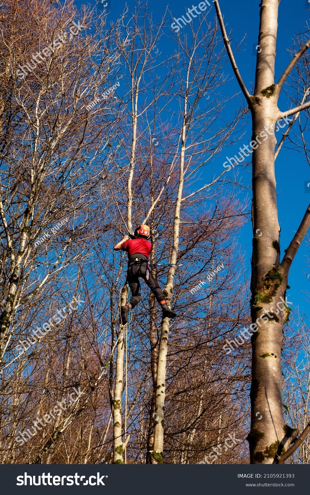 tree-cutter-shows-off-some-insane-skills-tree-cutter-things-to-come