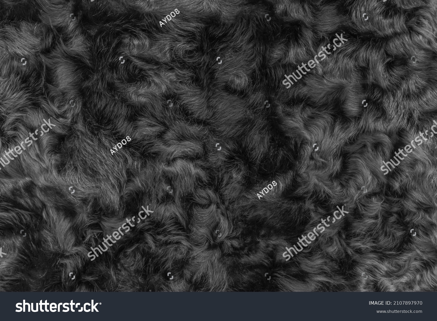 Black Wool Texture Fur Background Dark Stock Photo 2107897970 ...