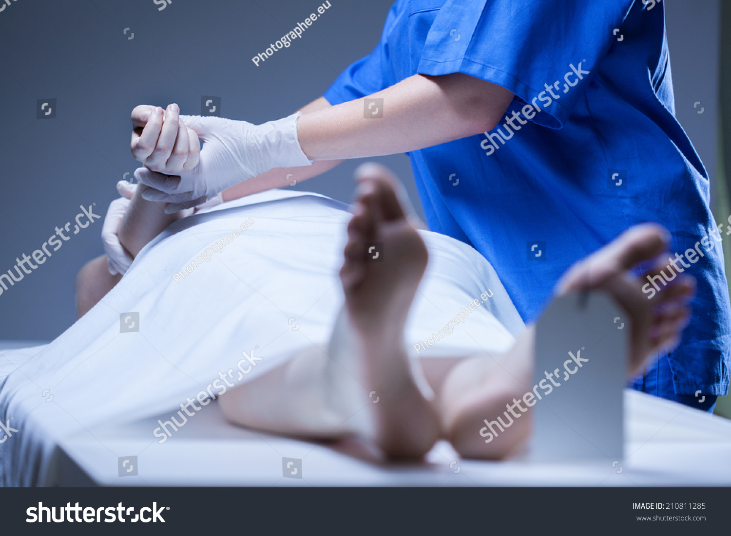 Worker Morgue Lying Body Corpse Foto De Stock 210811285 Shutterstock