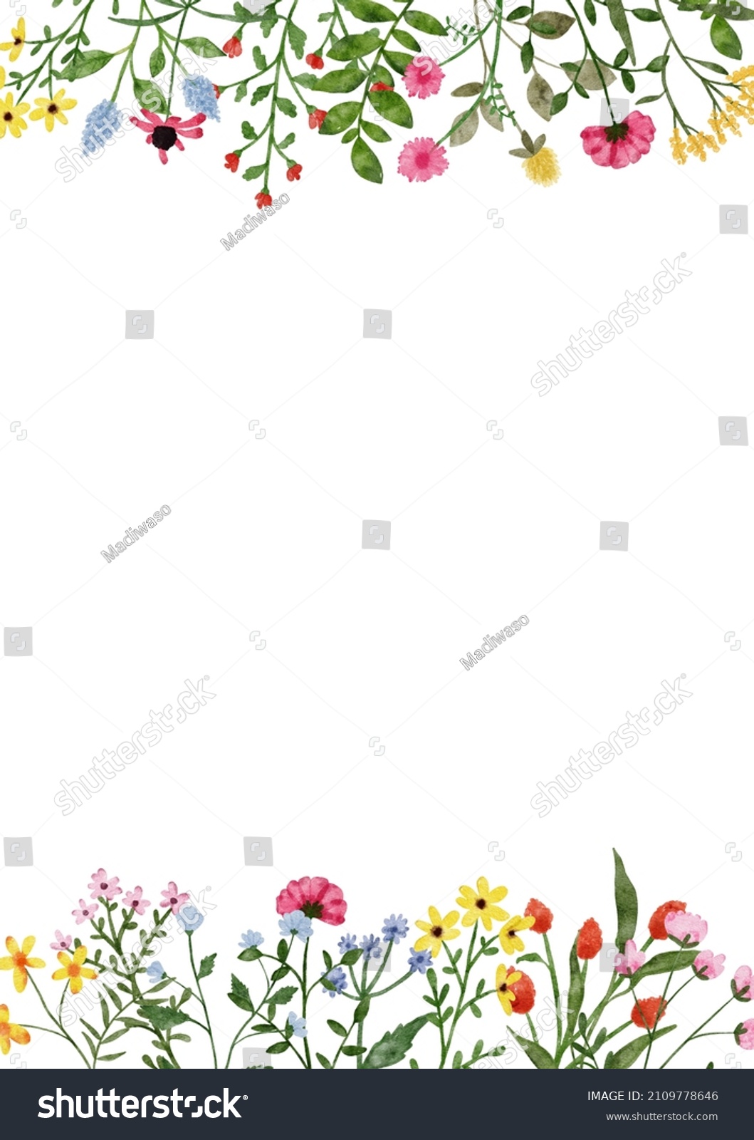 Watercolor Wildflower Border Botanical Spring Summer Stock Illustration ...