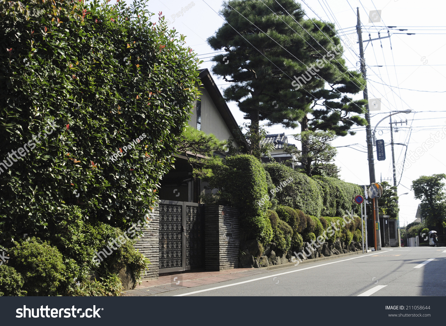 515 Inokashira 이미지, 스톡 사진 및 벡터 | Shutterstock