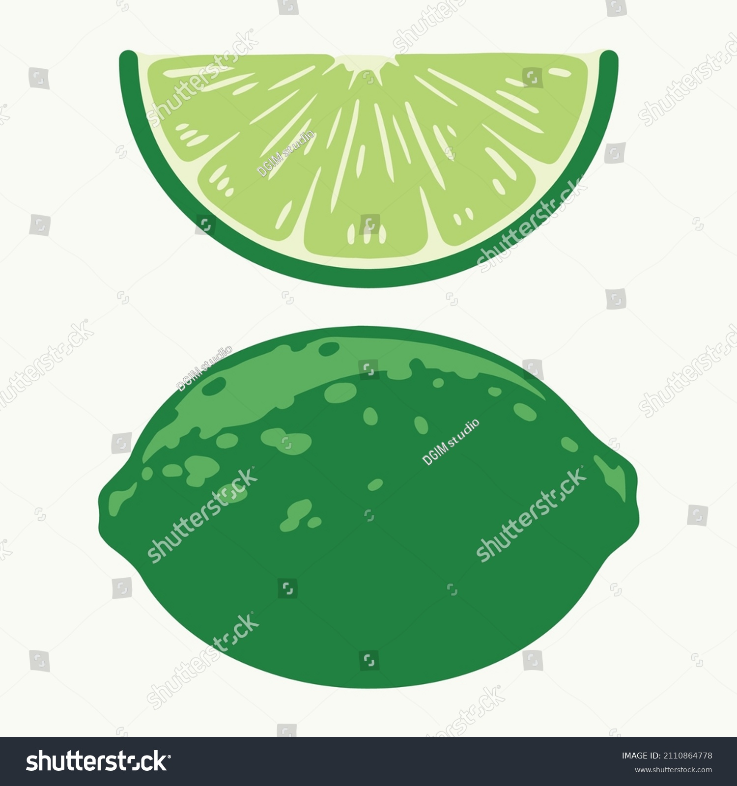 whole-lime-sour-slice-vintage-style-stock-vector-royalty-free